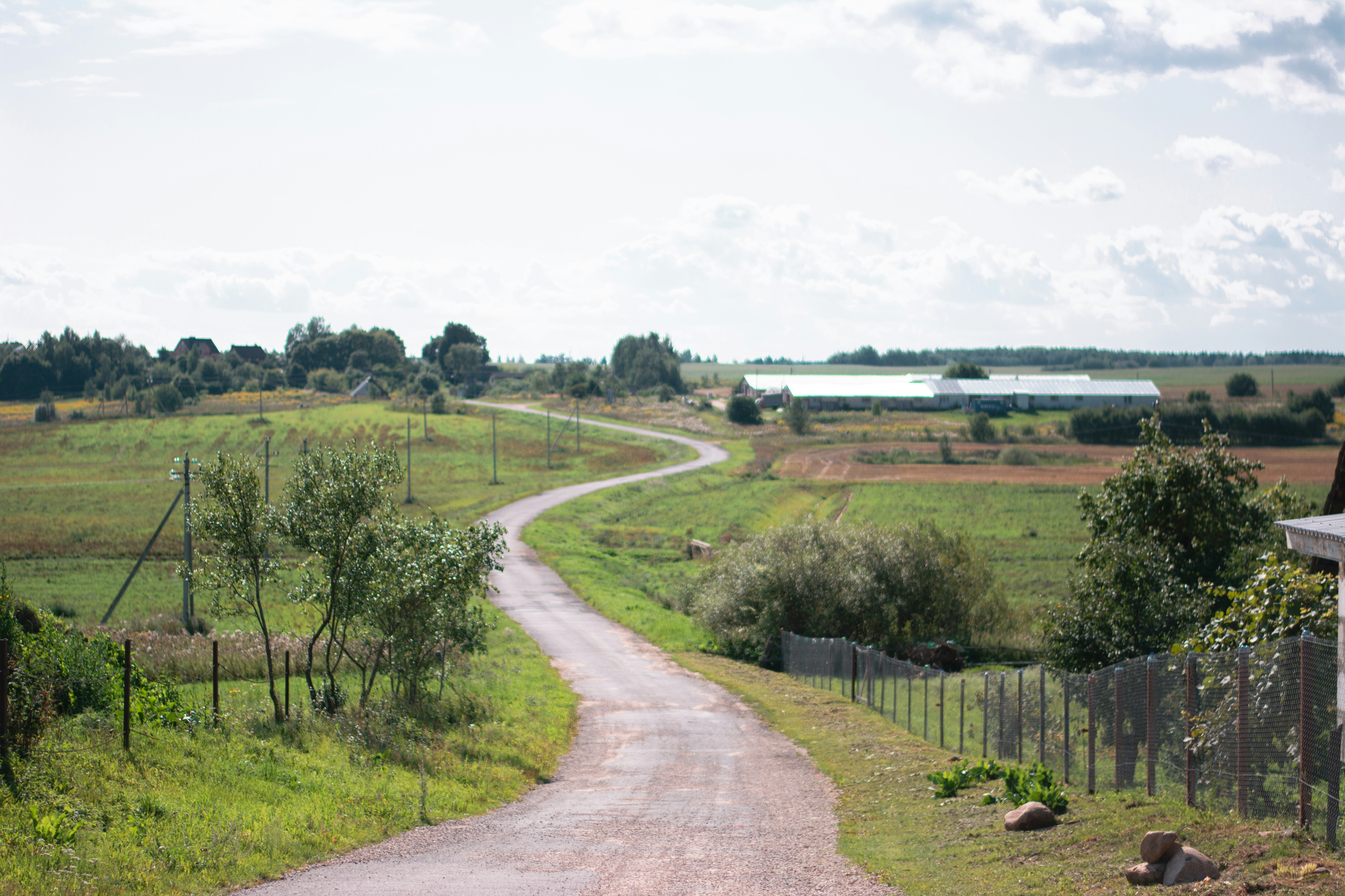 a dirt road in a field