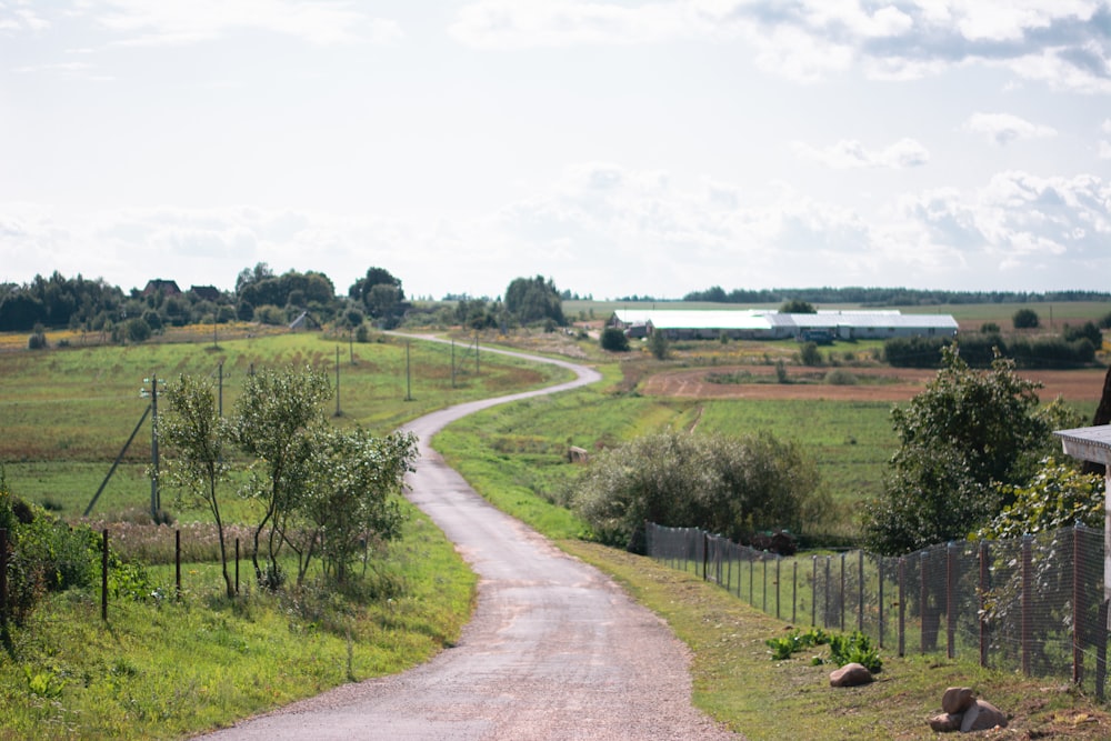 a dirt road in a field