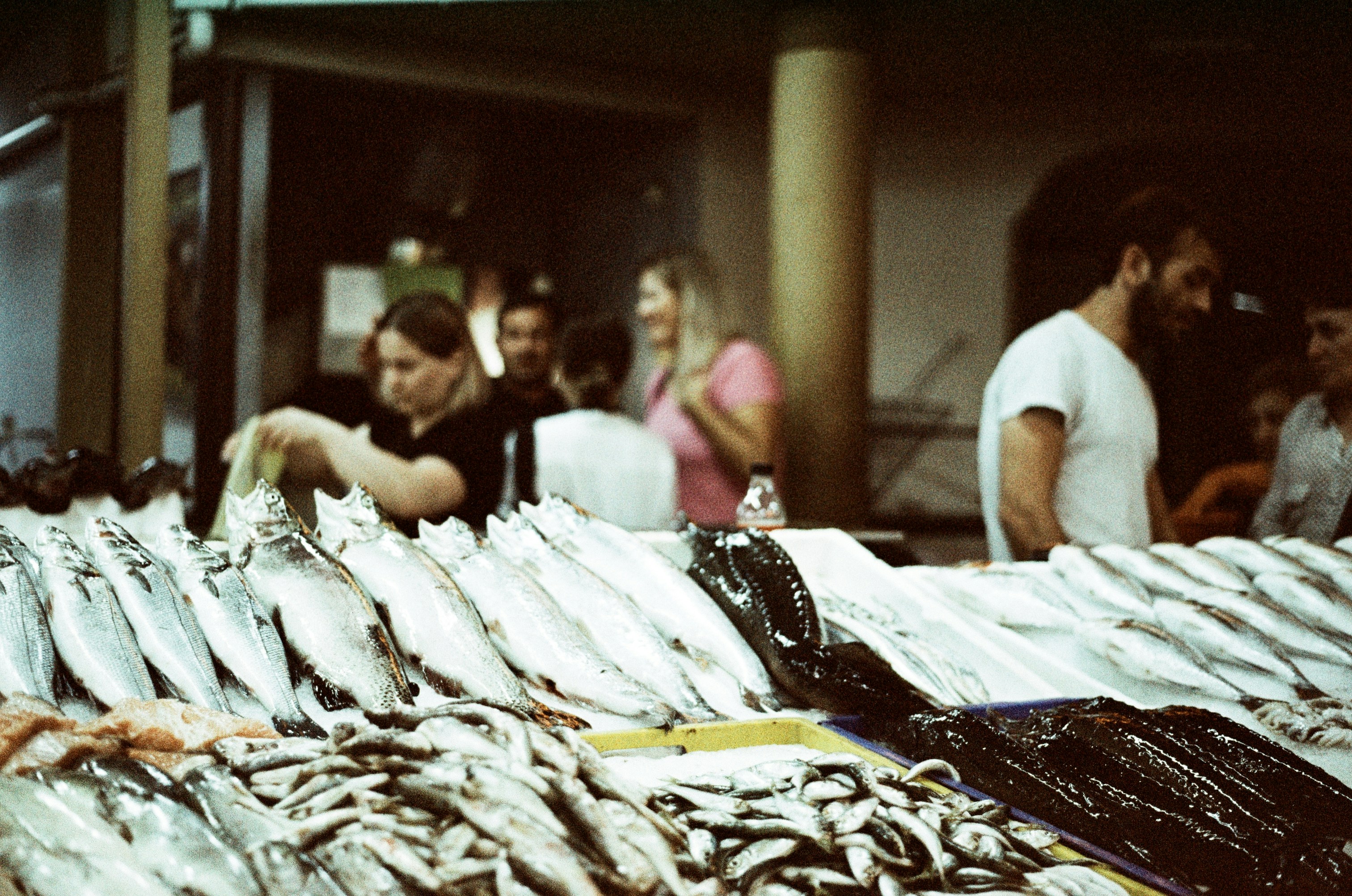 Eating fish may help improve vitamin D levels in growing children