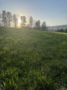 A serene view of Froehlich Farm’s untouched meadow at sunrise.
