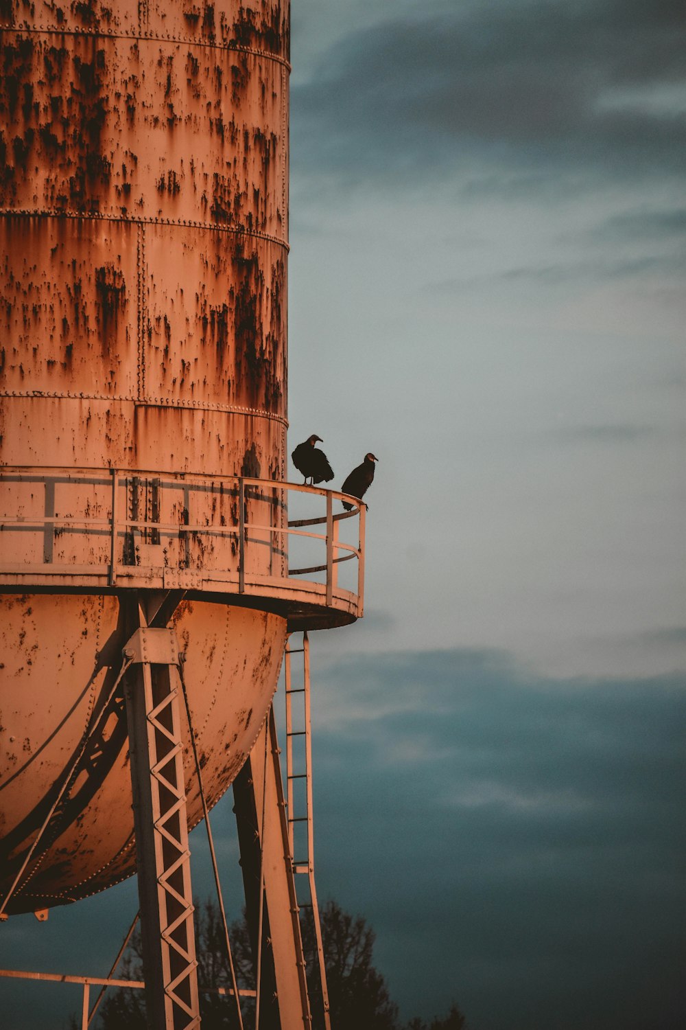 two birds on a metal tower