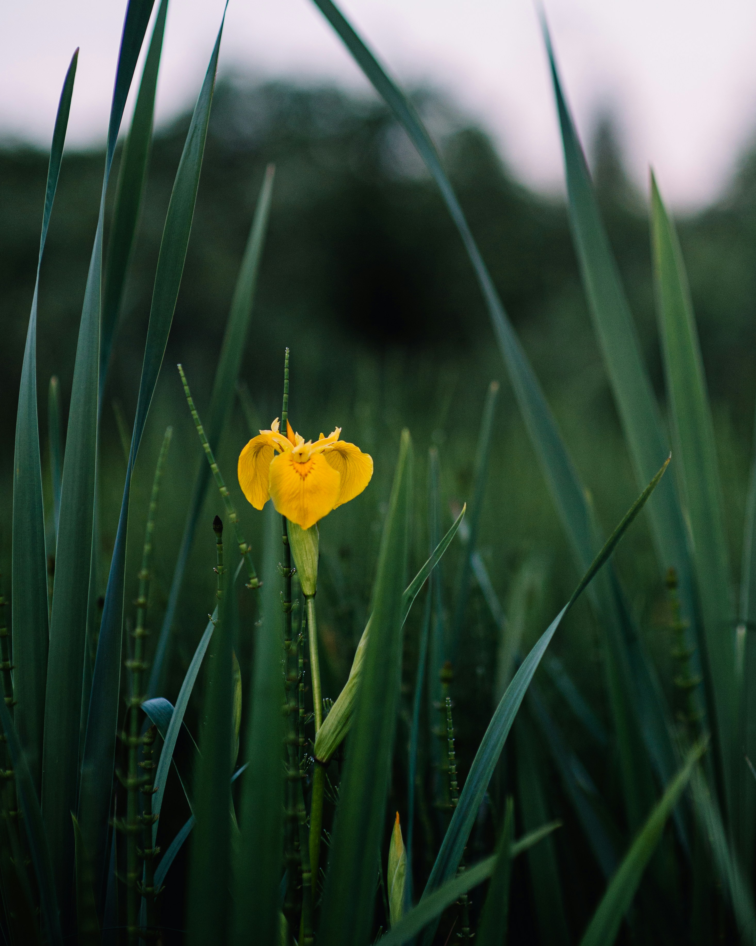 Photo by evil_bumblebee