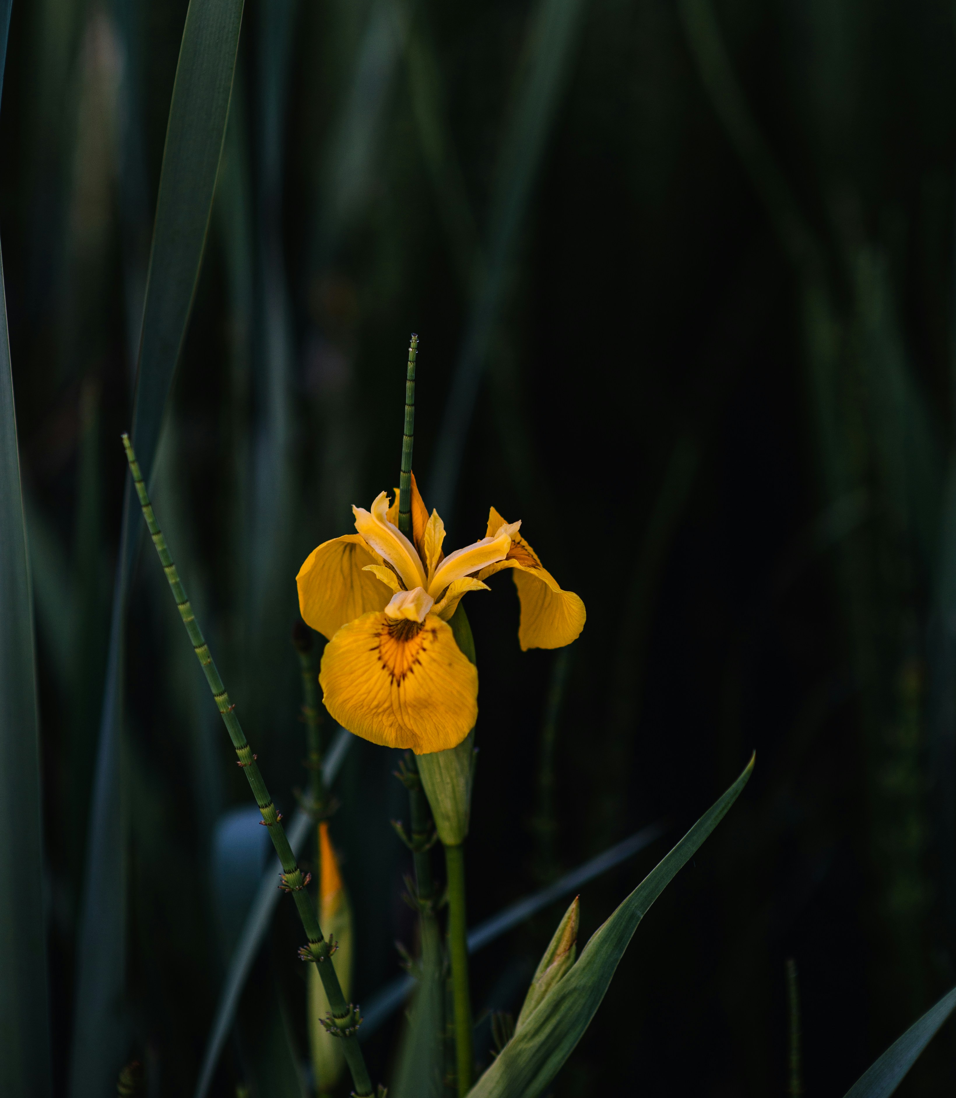 Photo by evil_bumblebee