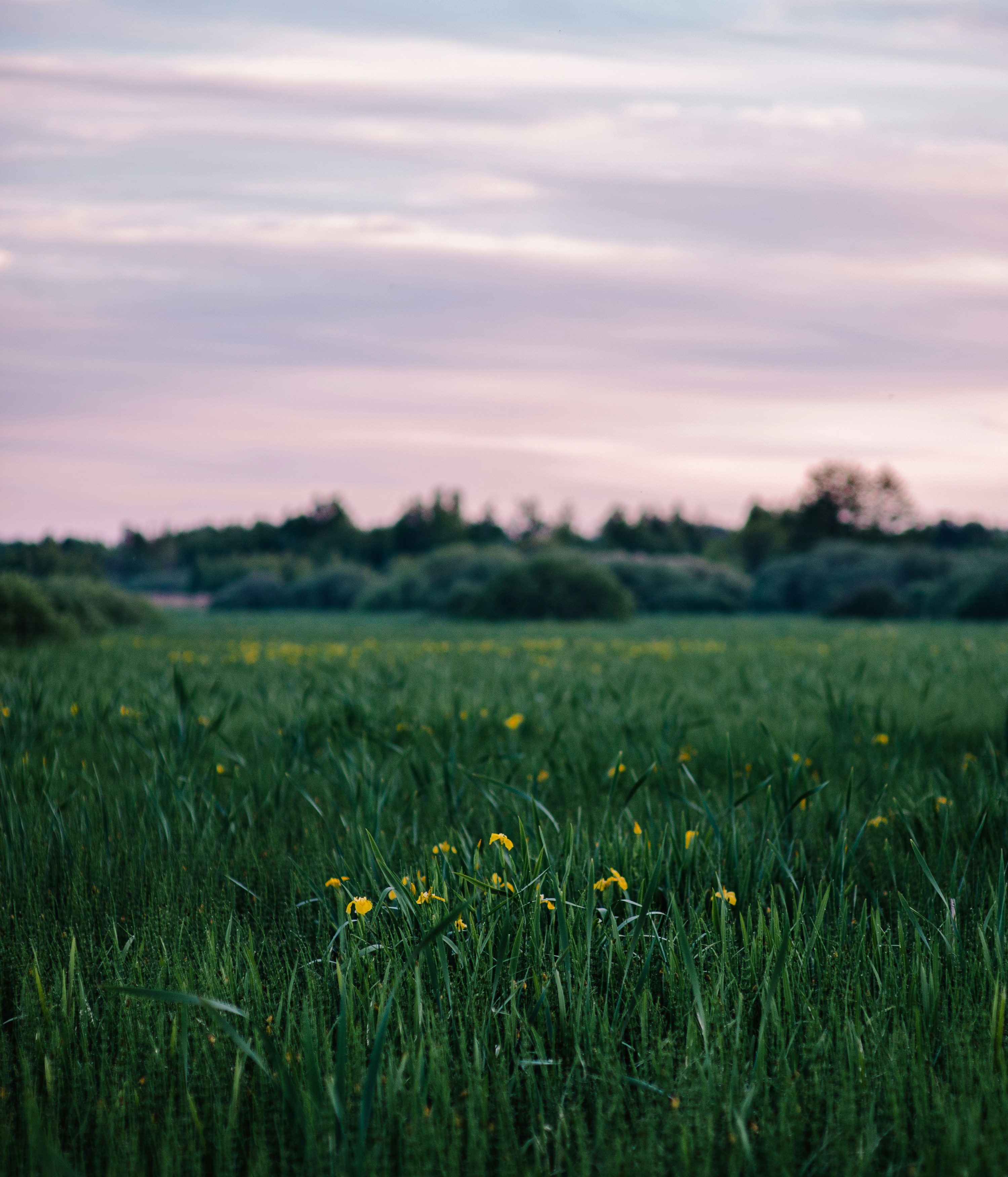 Photo by evil_bumblebee