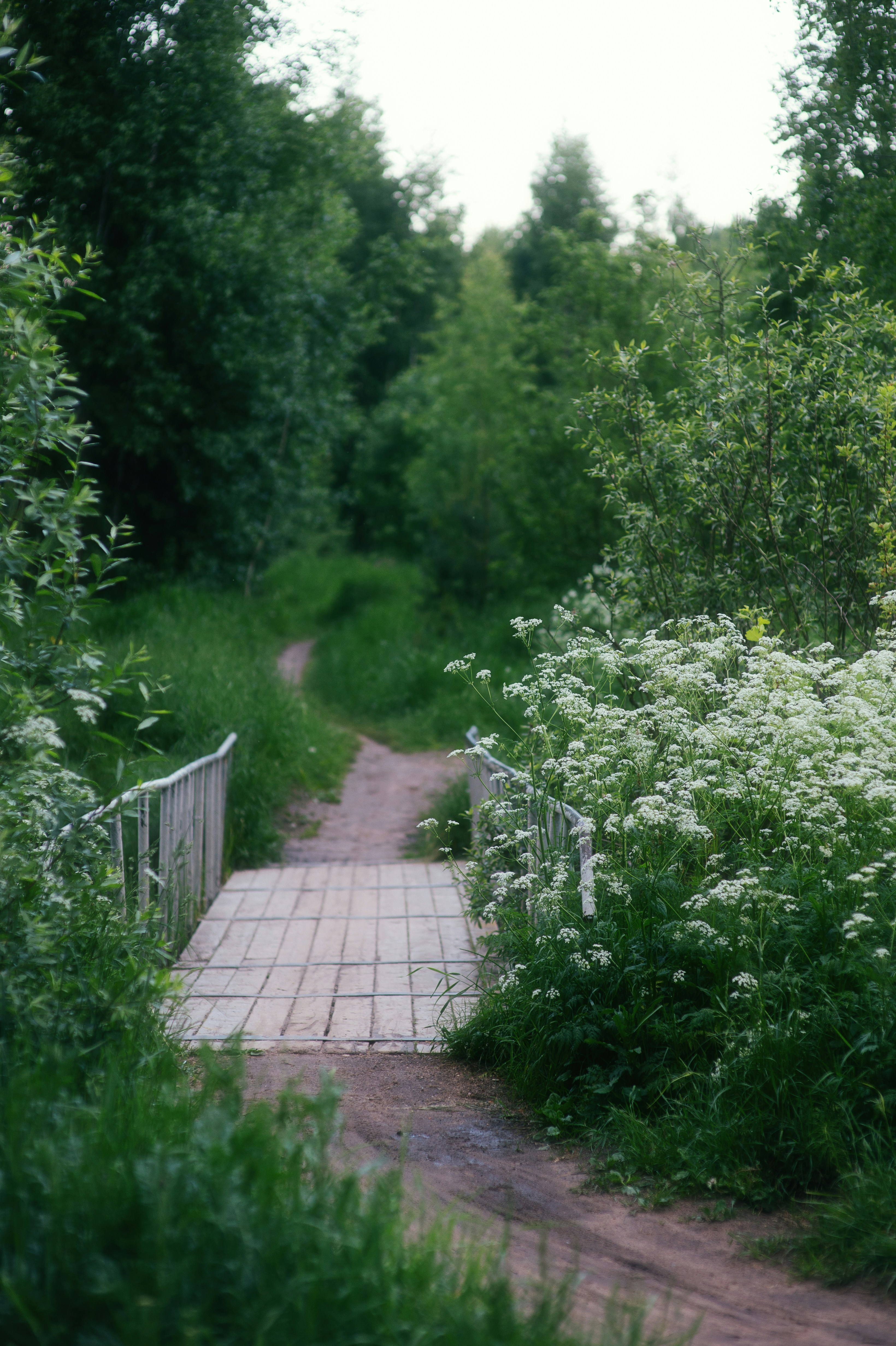 Photo by evil_bumblebee