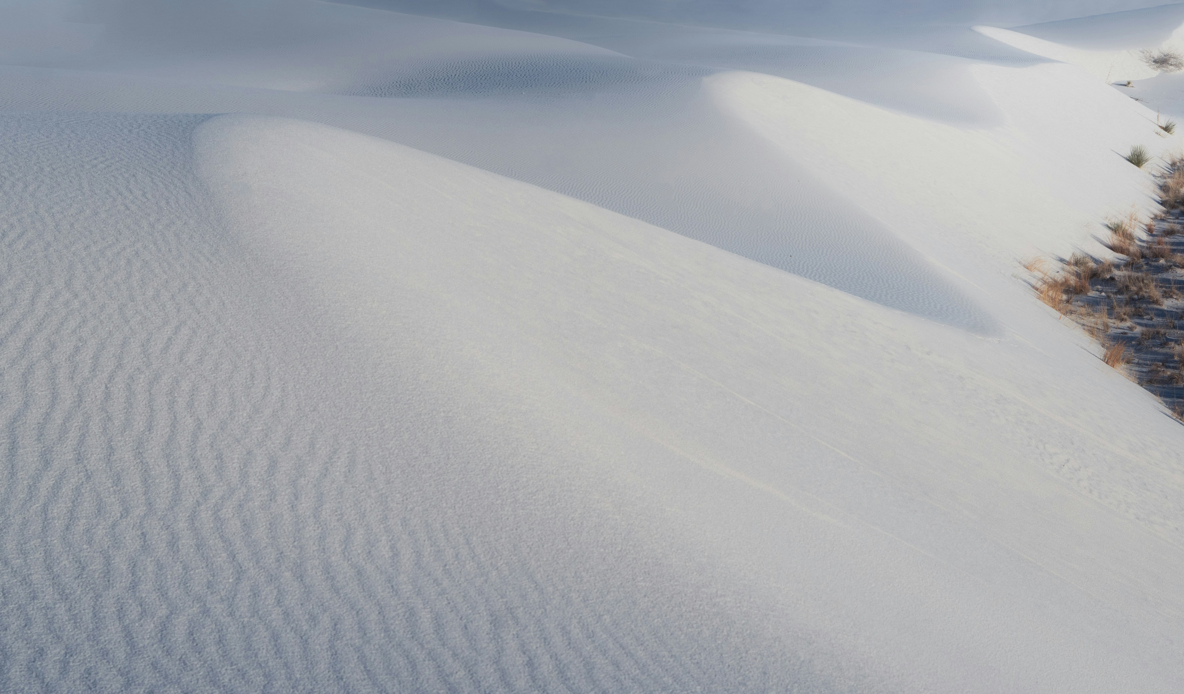 Photo by intricateexplorer