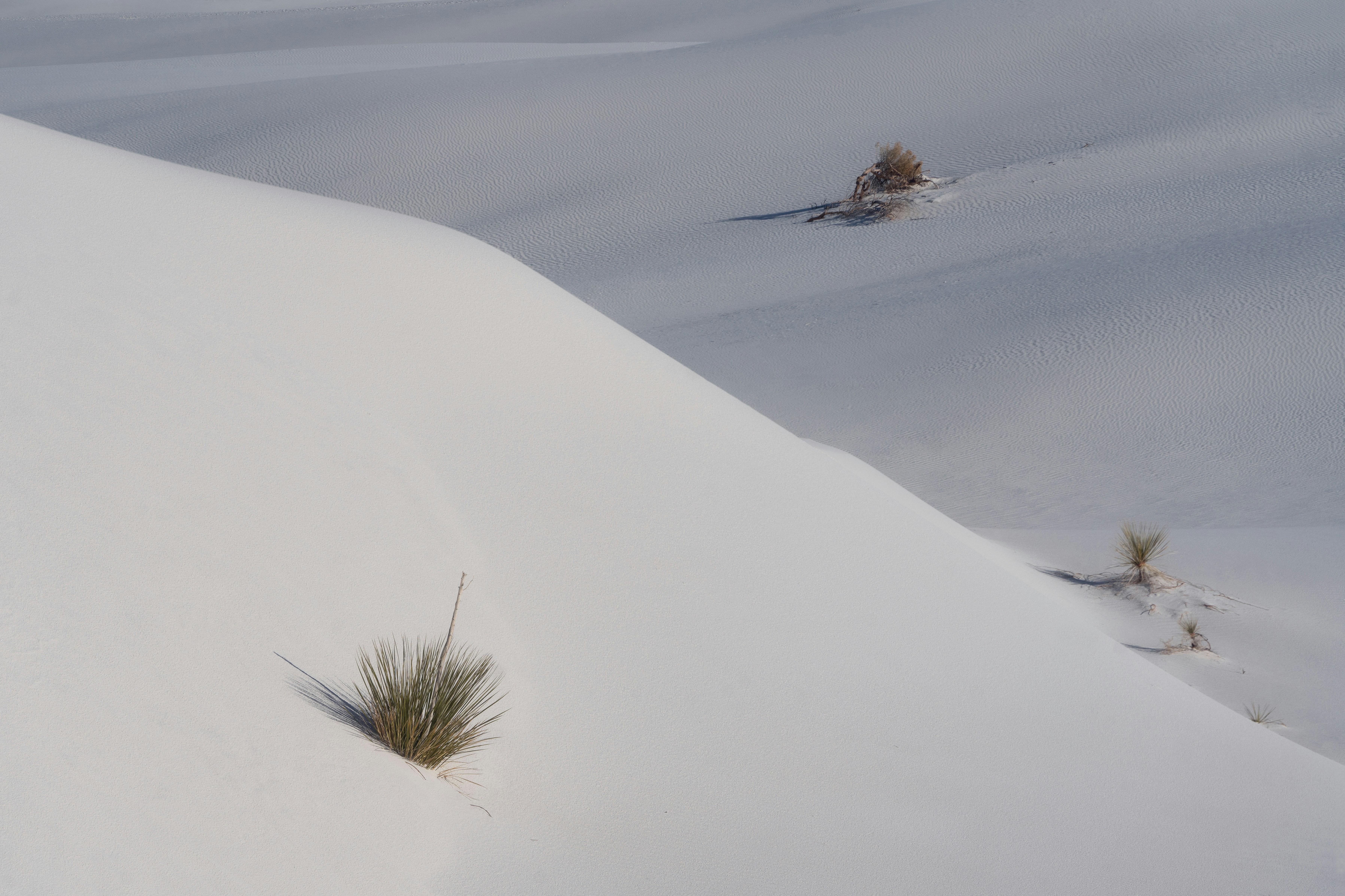 Photo by intricateexplorer