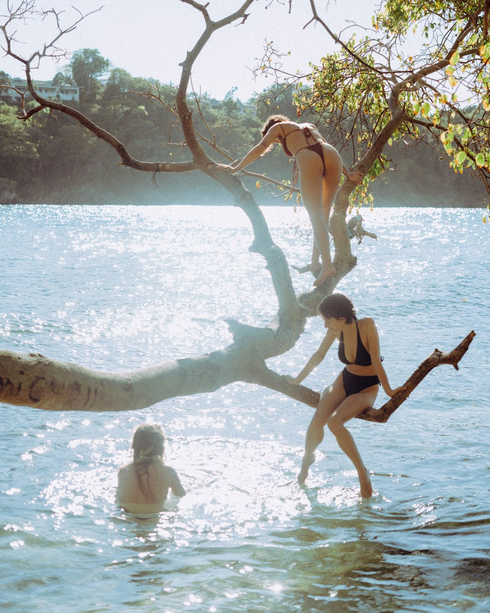 a woman and a man jumping into water