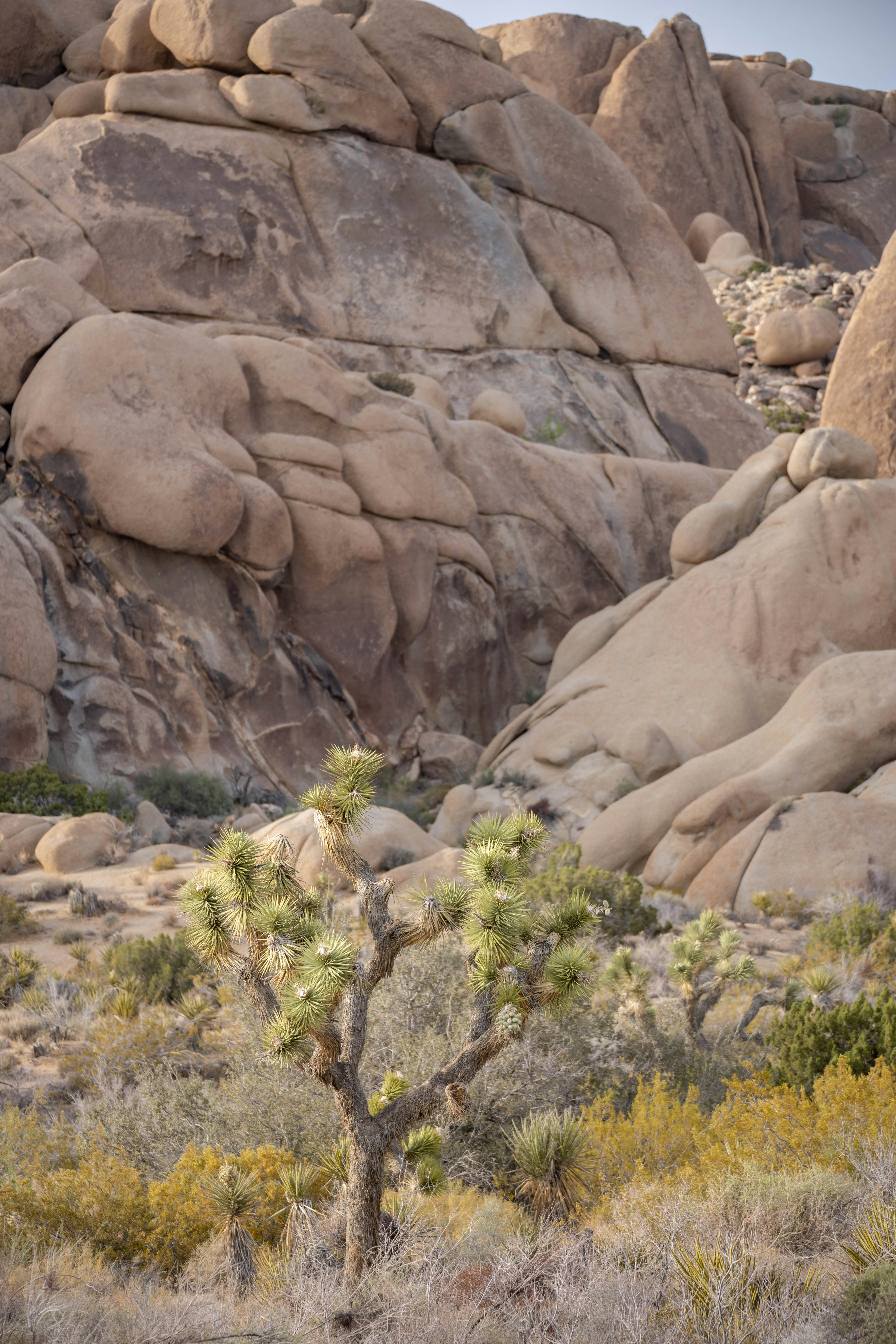 Photo by matthewmendini