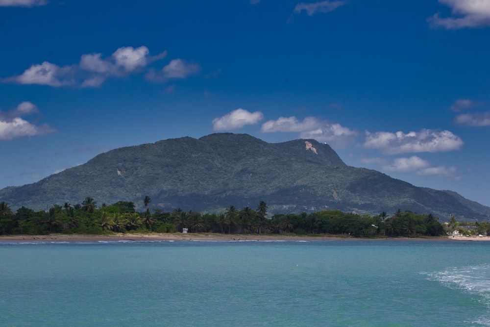 a body of water with trees and a mountain in the background