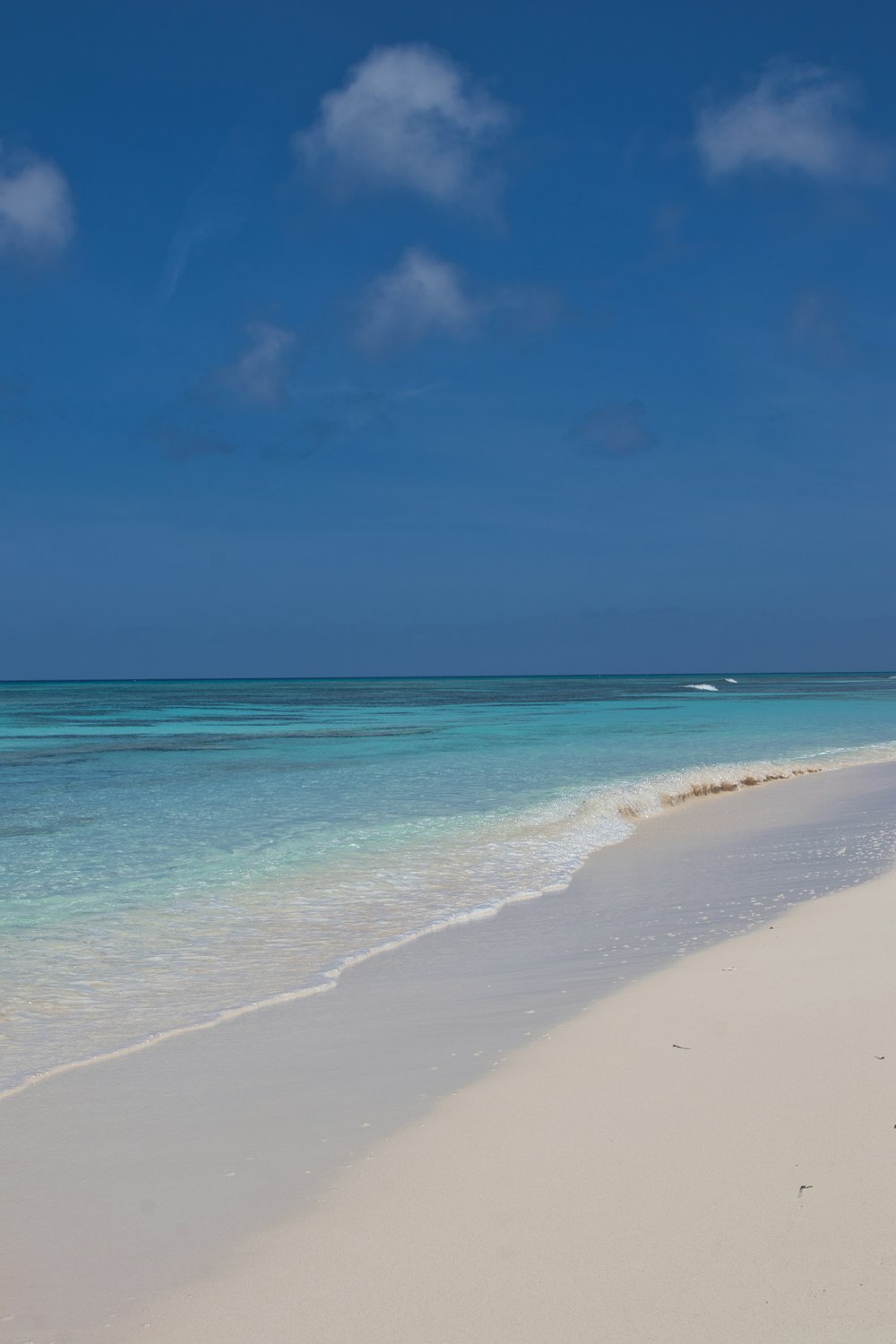 a beach with blue water