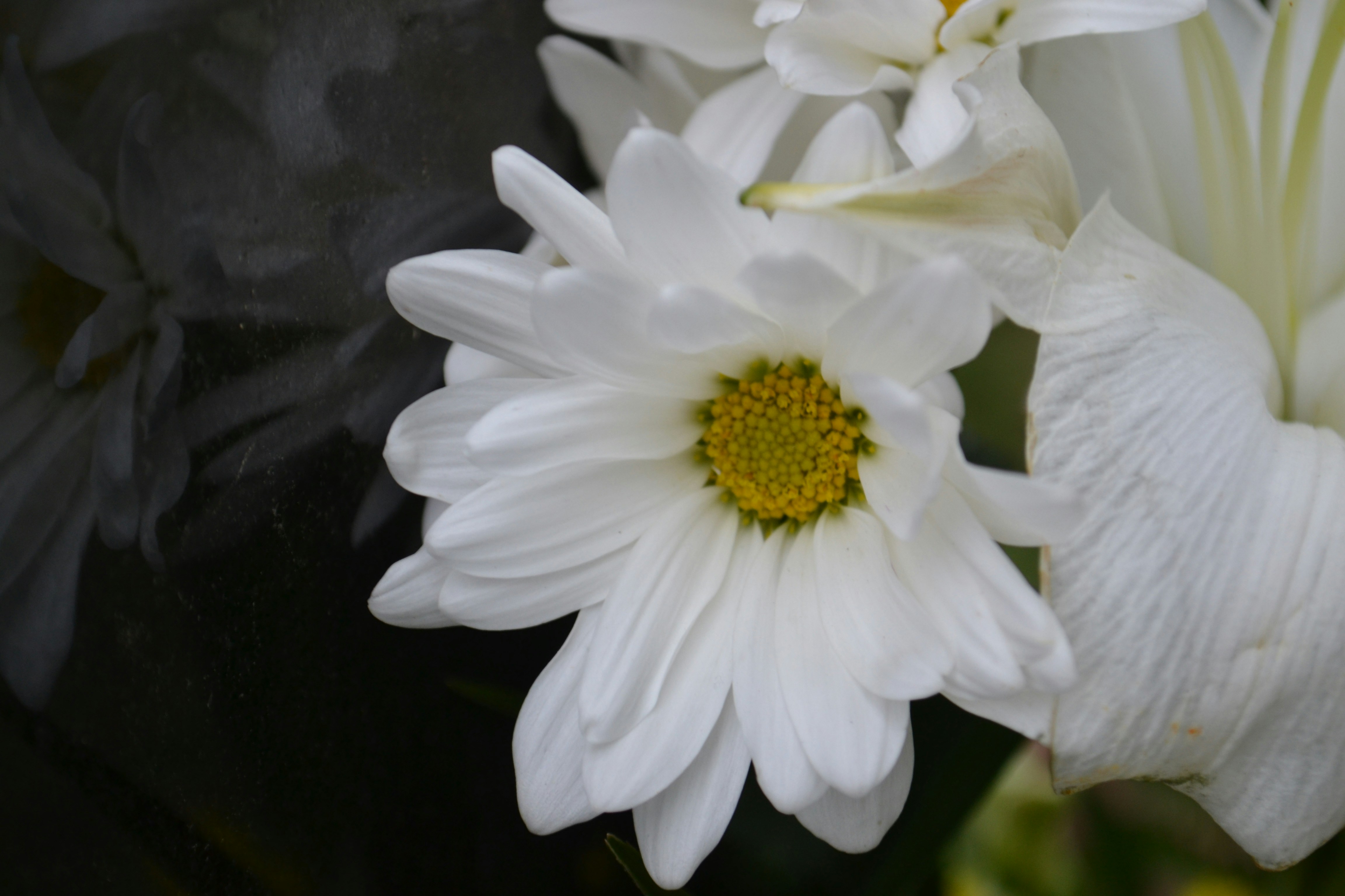 Photo by markagardphoto