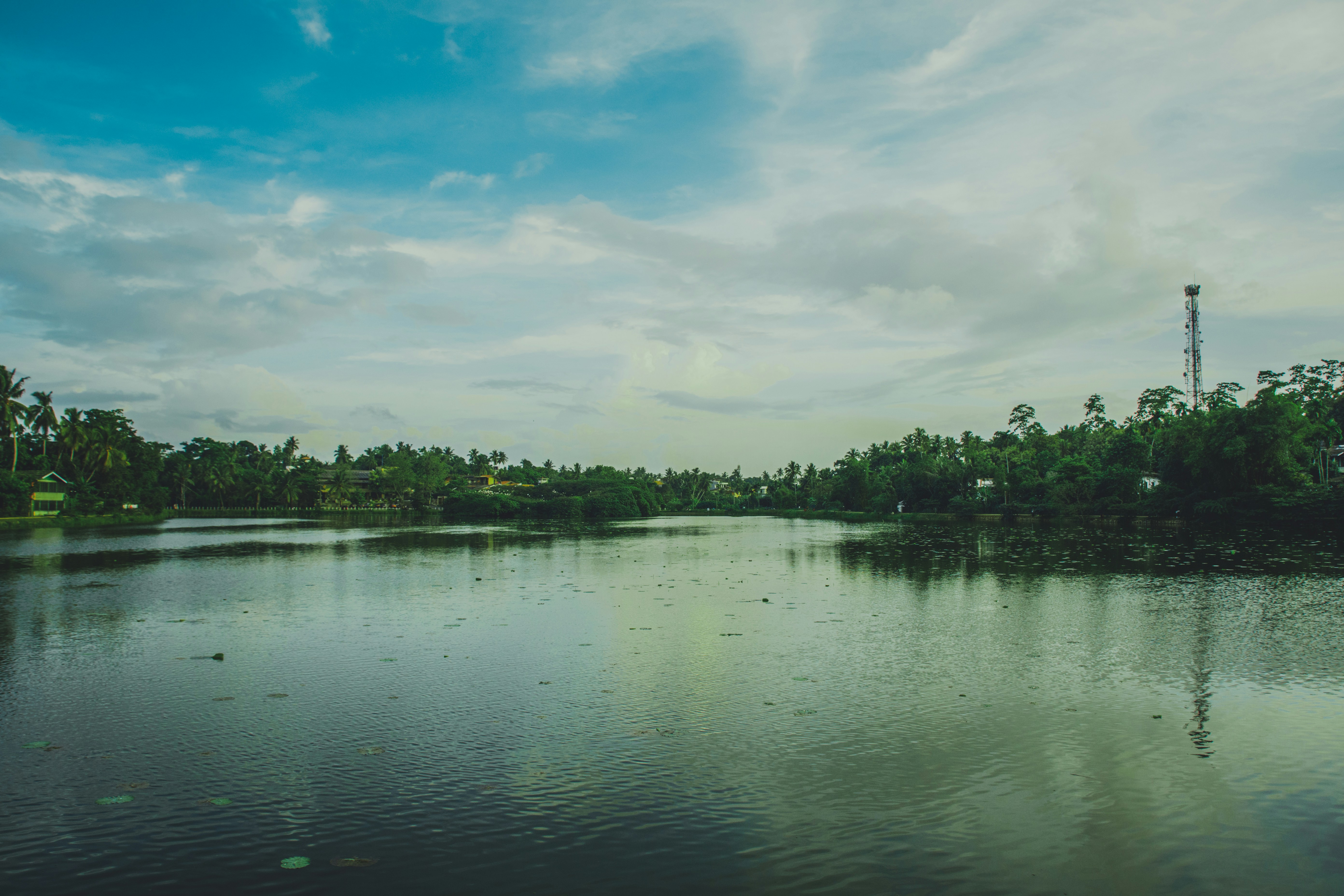 Photo by nilankakariyawasam