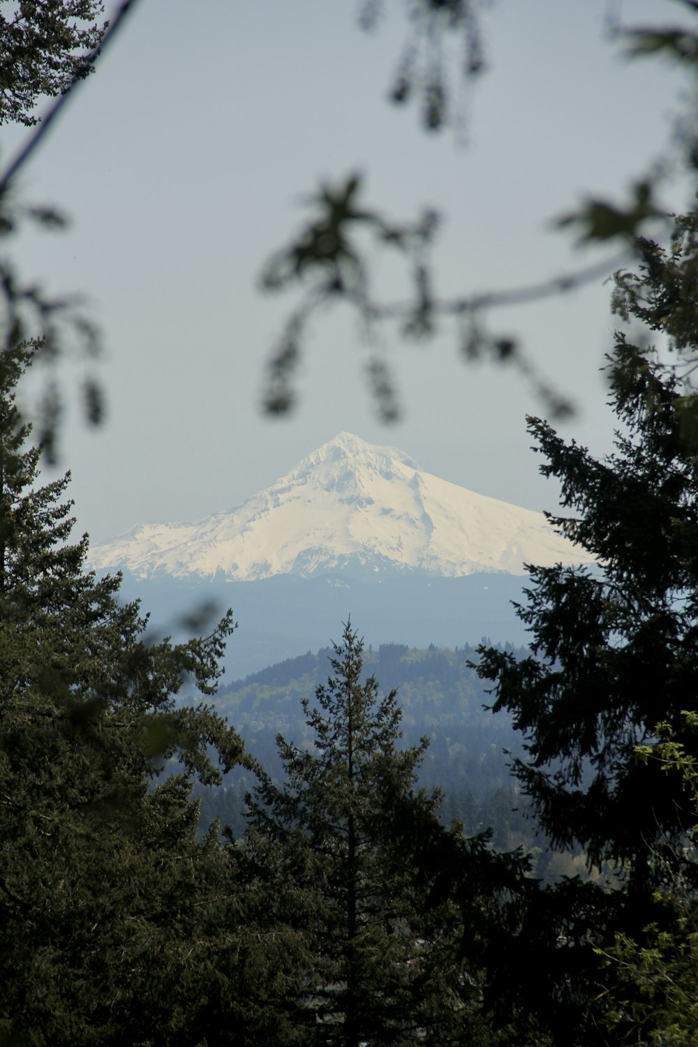 a snowy mountain in the distance