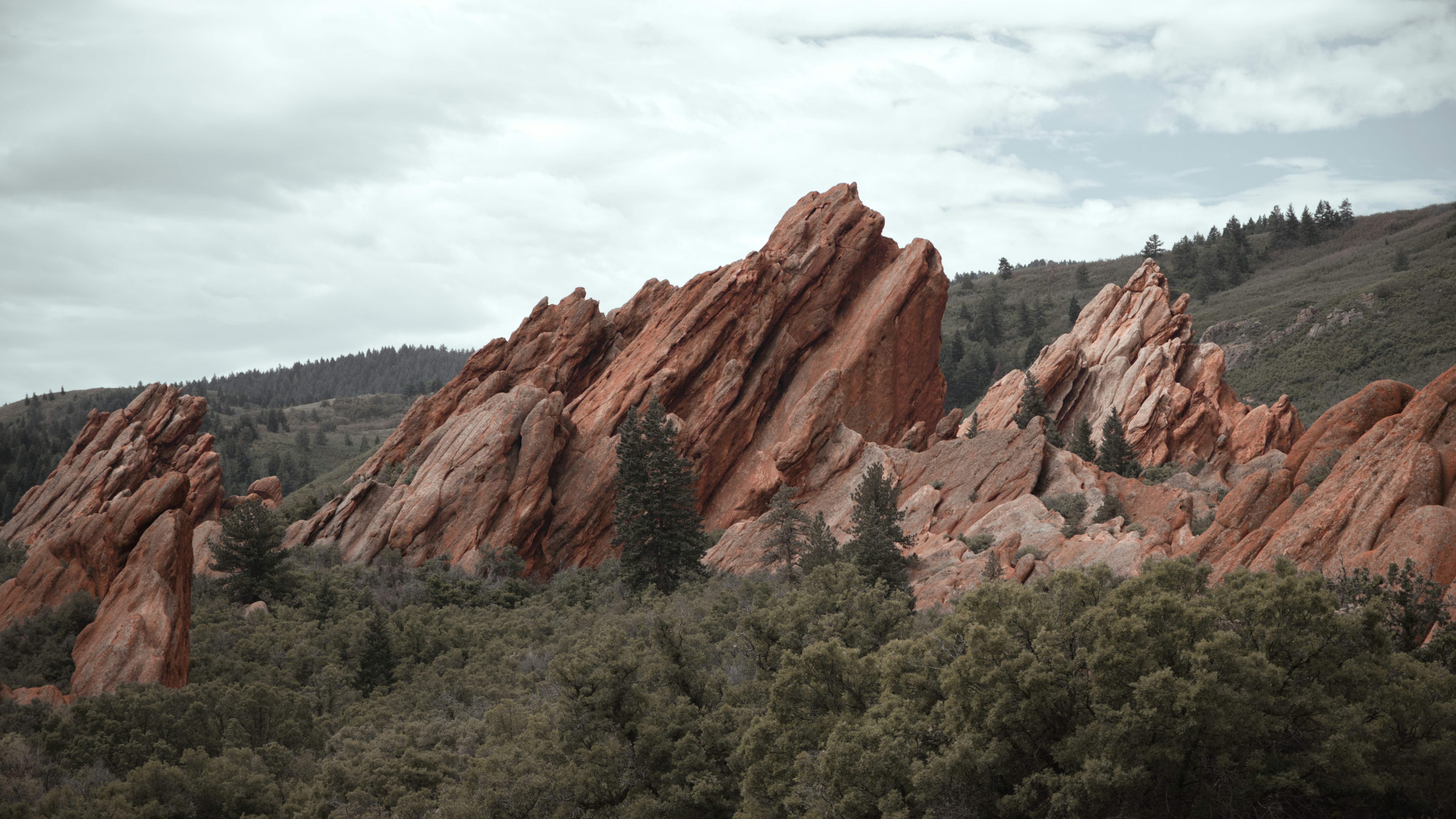 木々のある岩だらけの崖