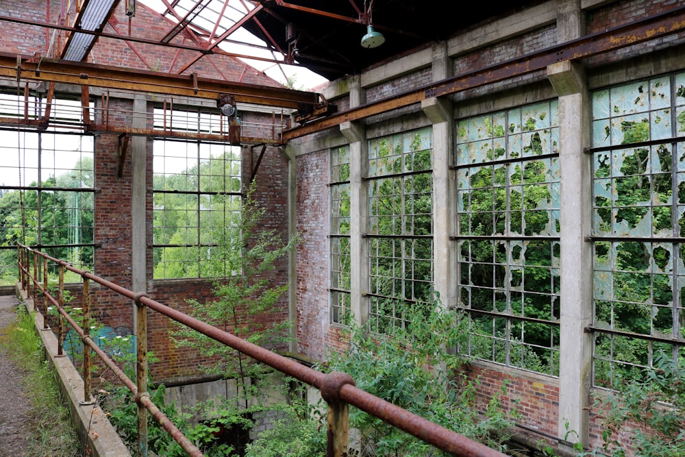 a greenhouse with plants