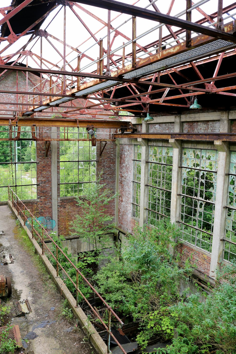 a greenhouse with plants