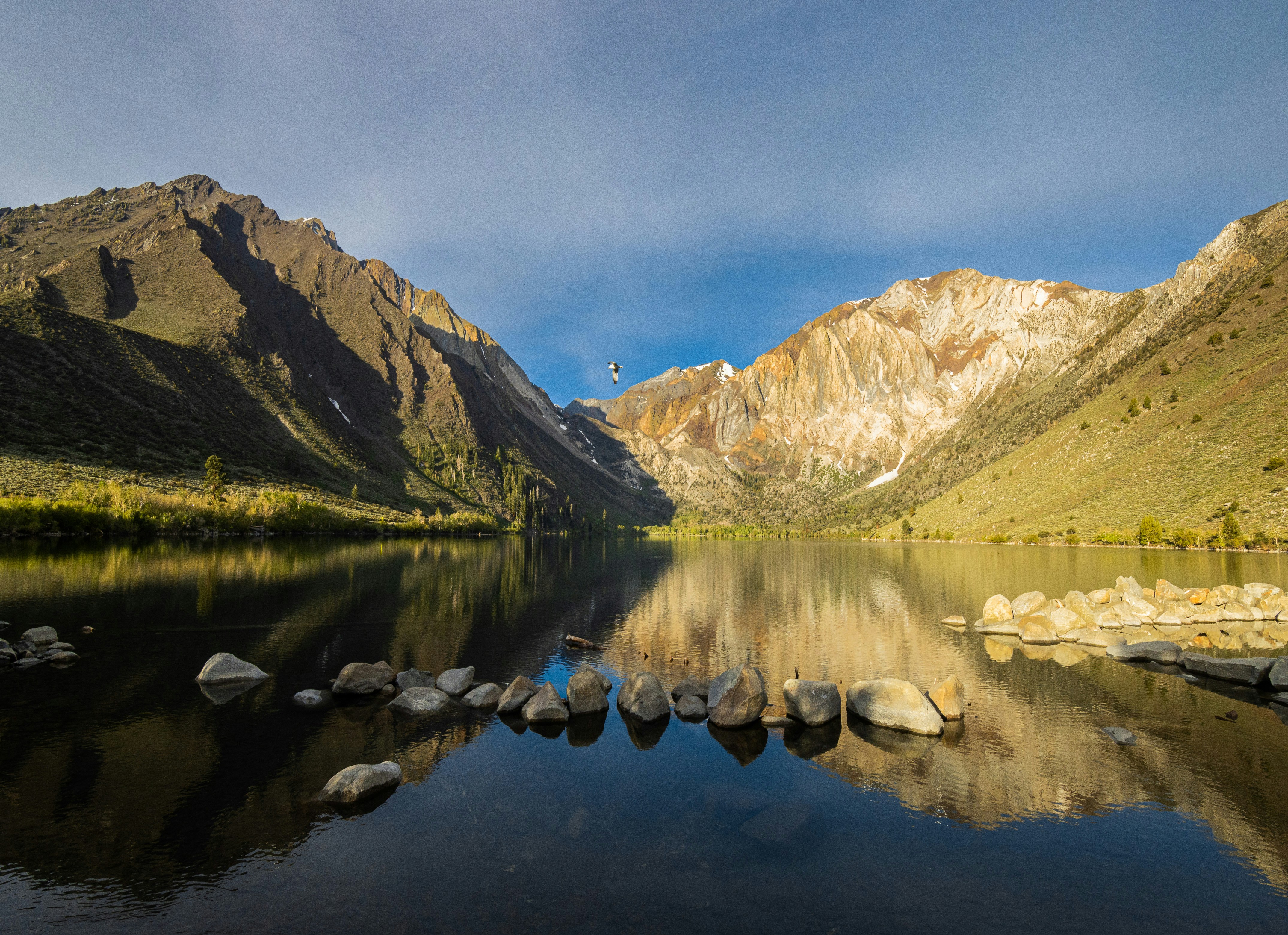 Photo by rs2photography