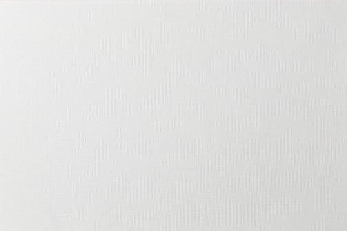 A blank, textured surface that appears to be a white or light grey canvas. The texture is consistent across the entire area.