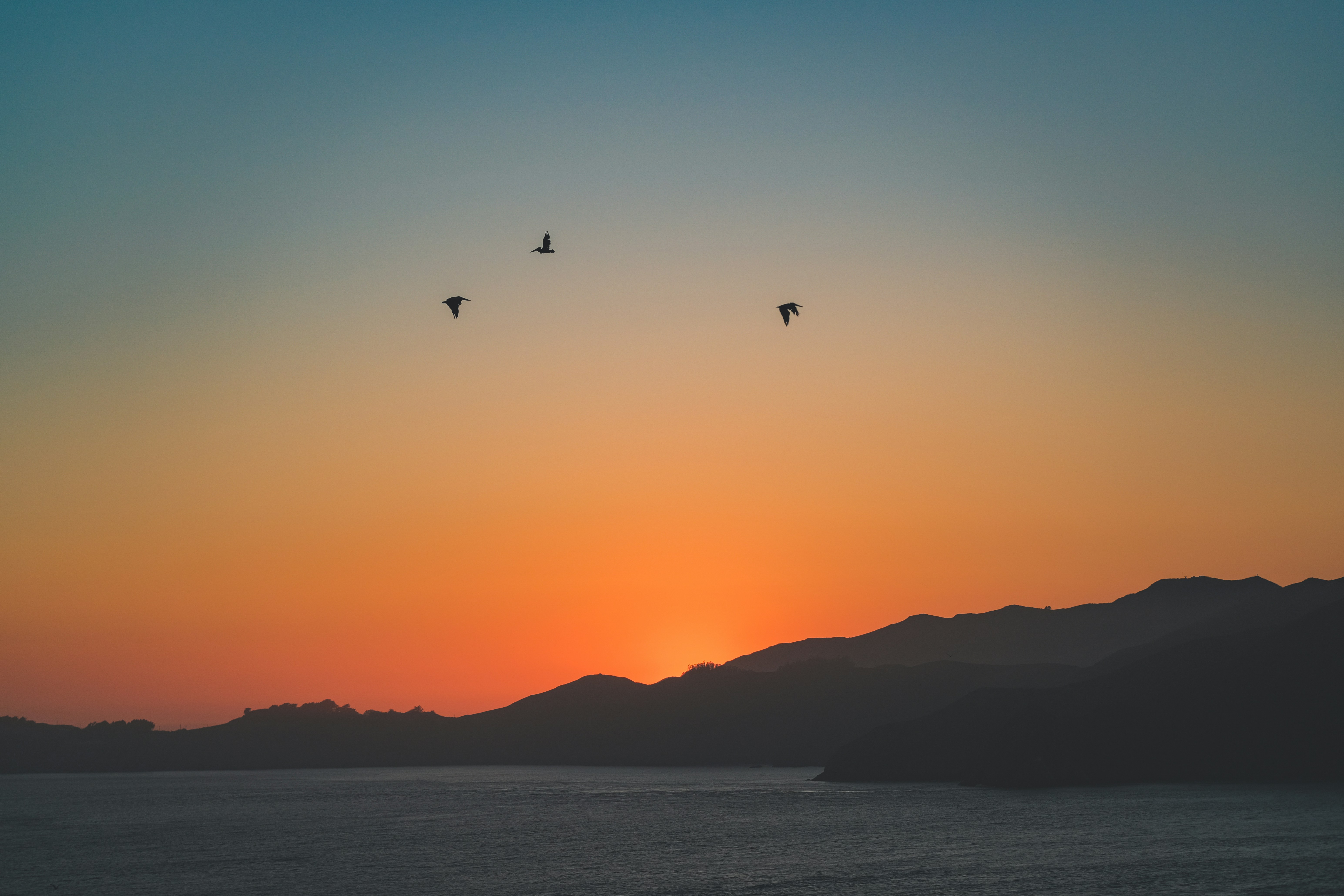 a group of people parasailing
