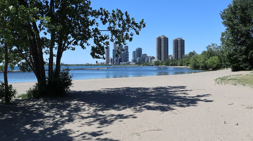 a sandy beach with trees and a city in the background