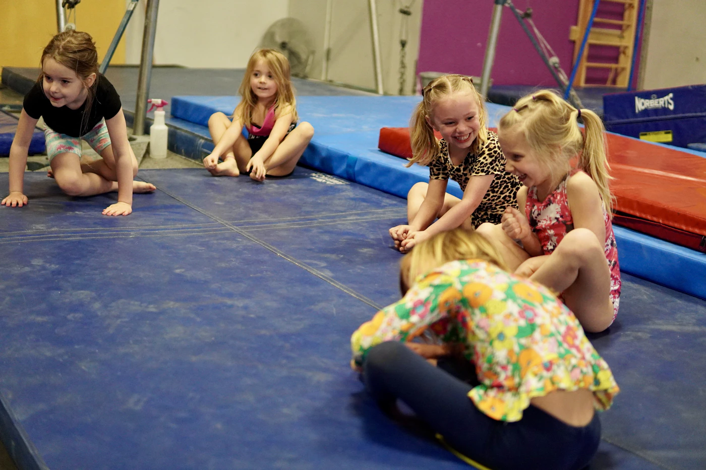 Young gymnasts together on colourful mats
