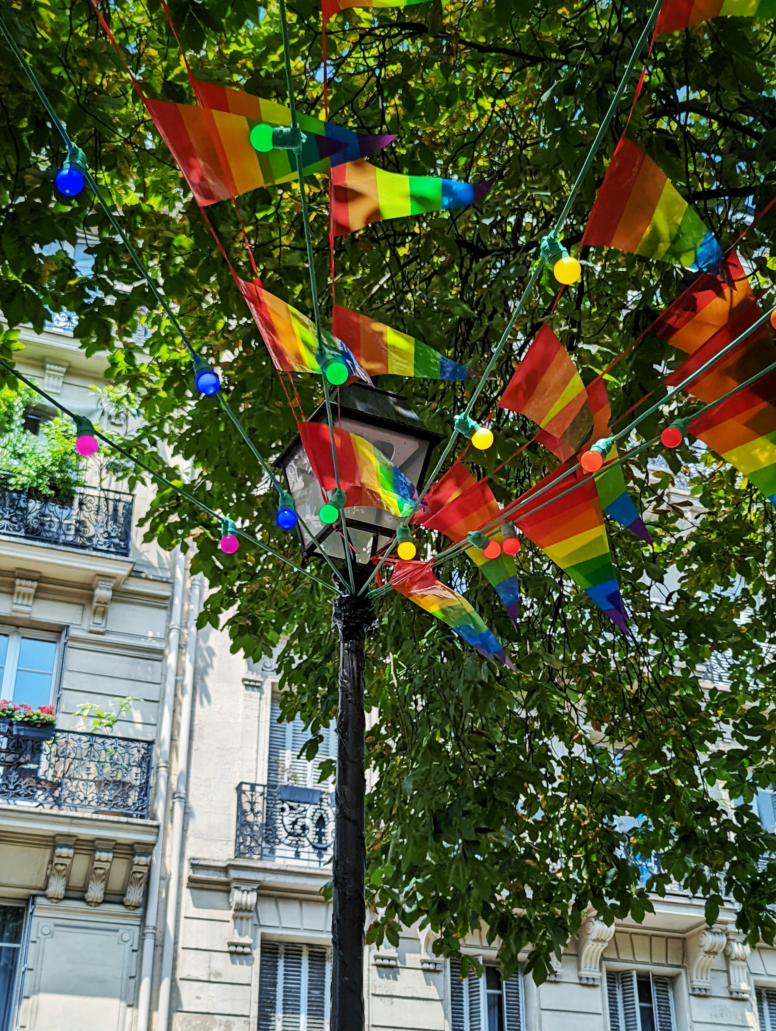 a tree with colorful kites