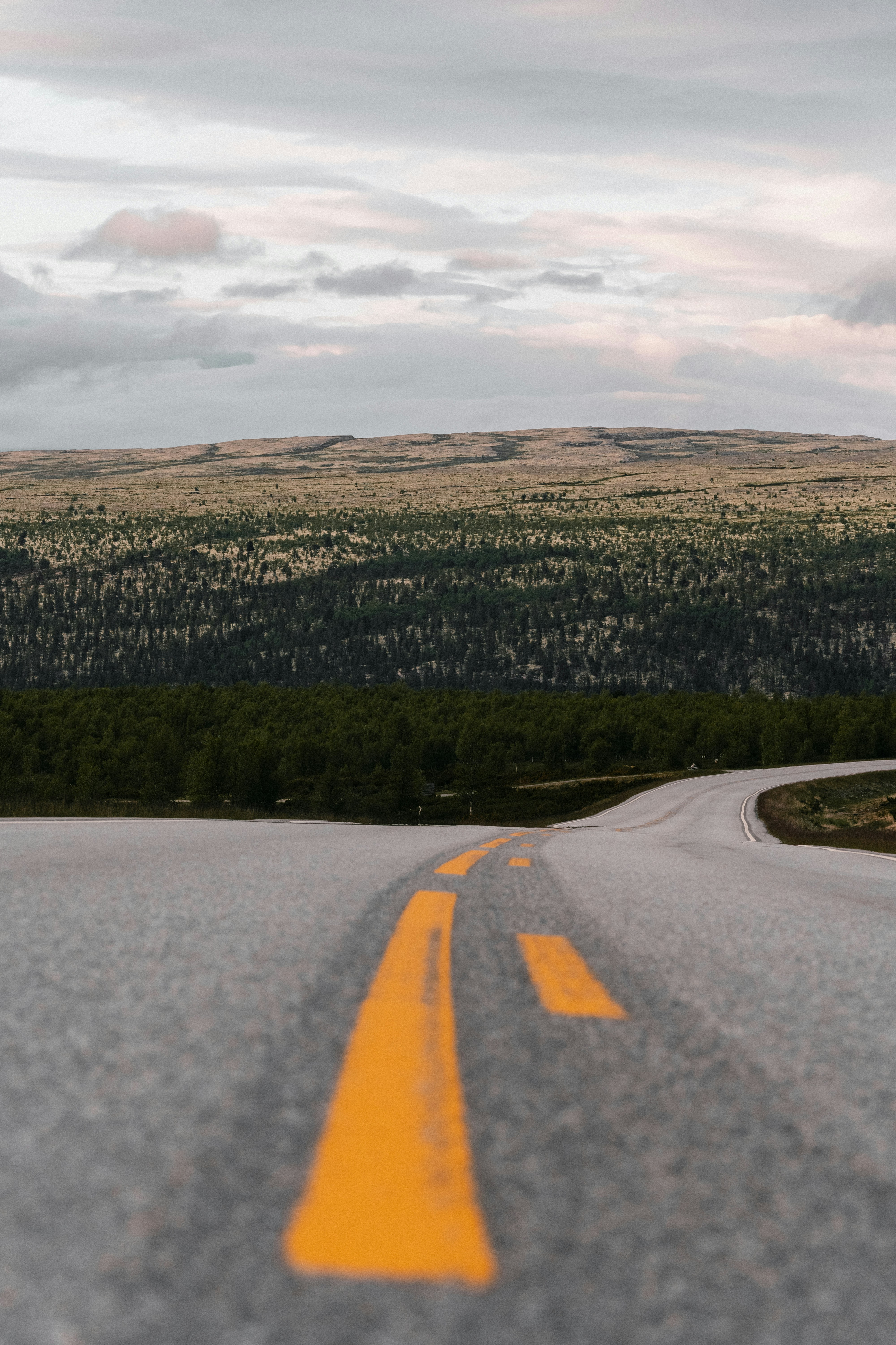 Photo by xandrovandewalle