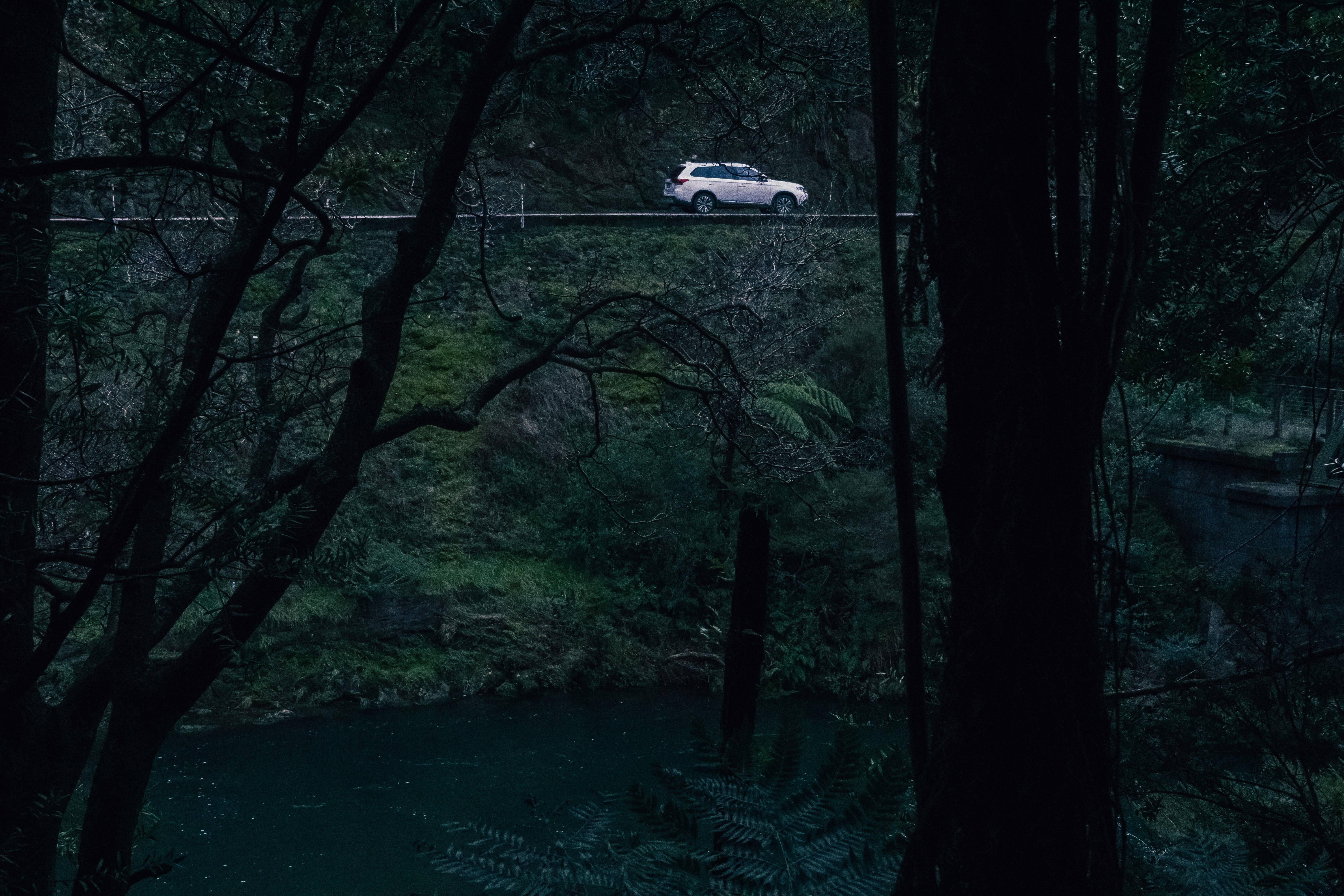 Photo by vivek_chandran