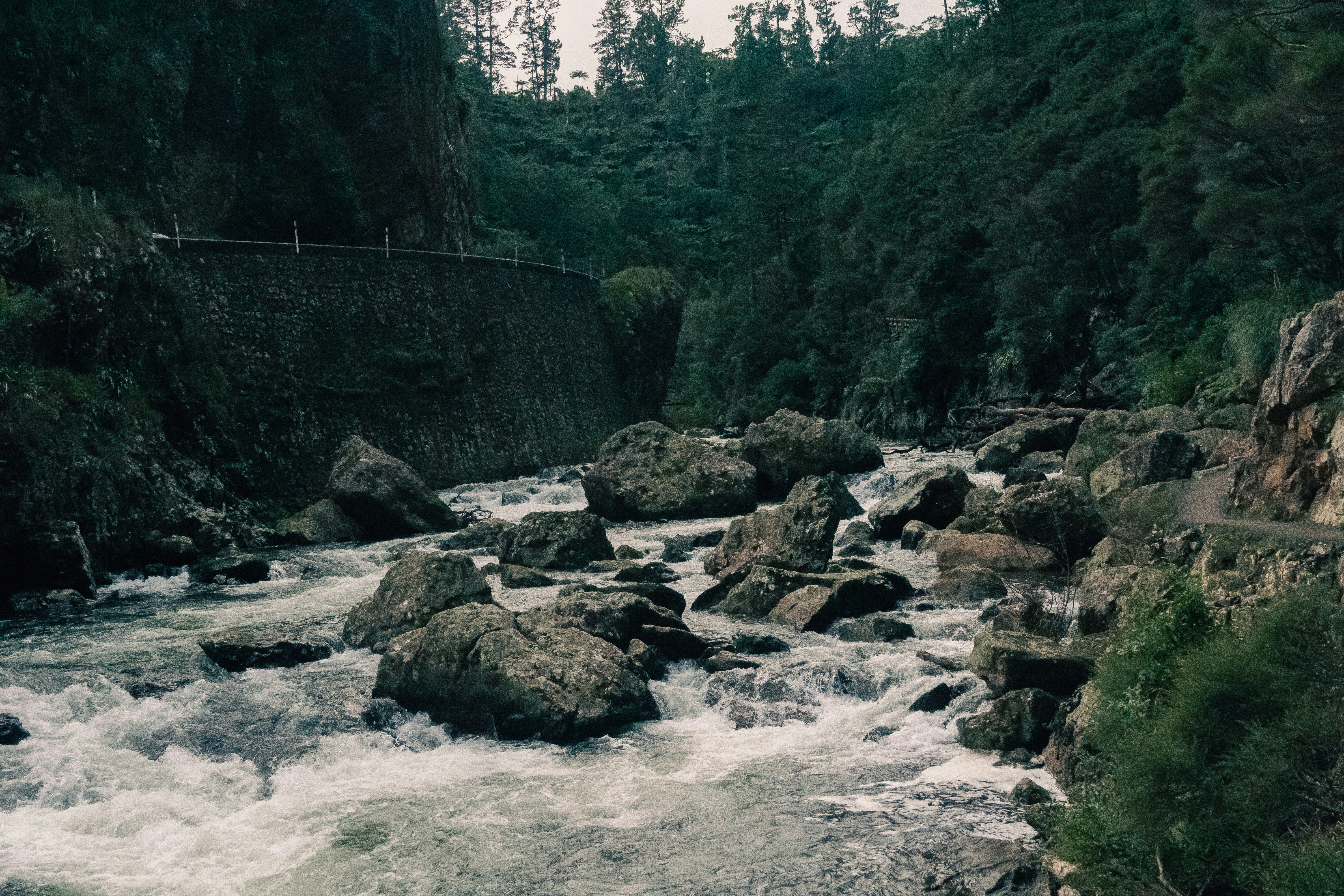 Photo by vivek_chandran