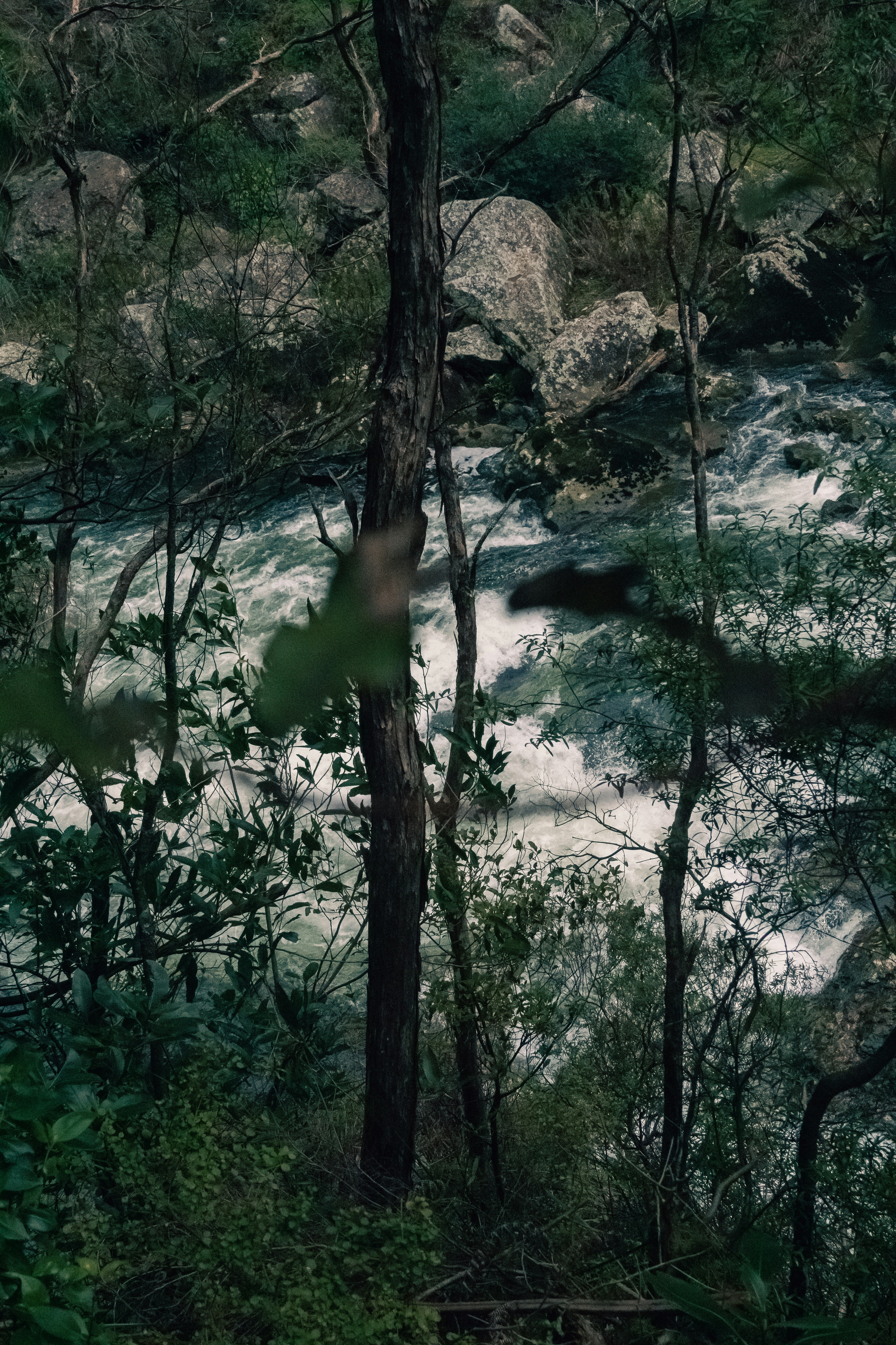 Photo by vivek_chandran