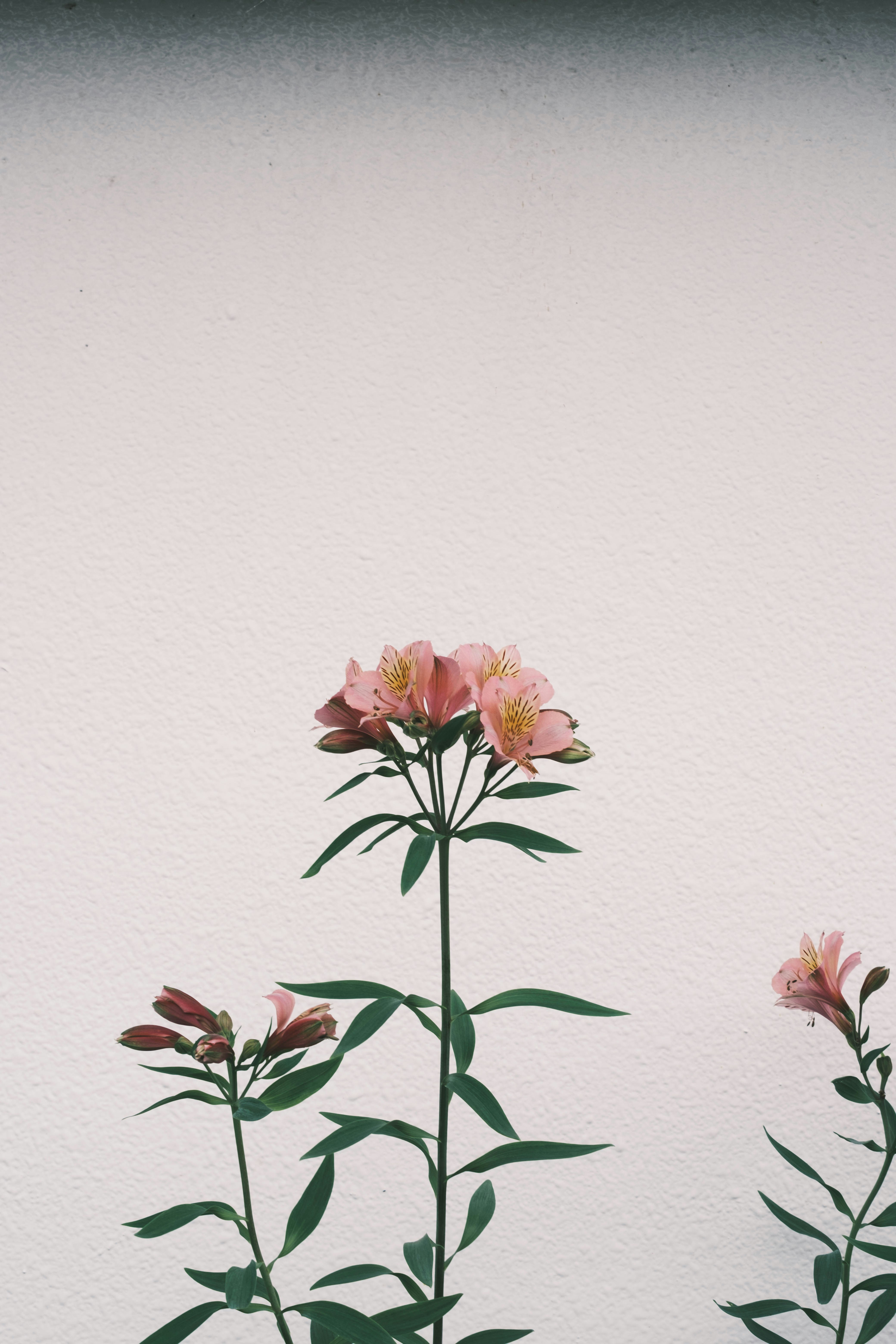 Photo by takanori_sn1