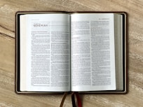 text