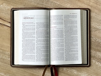 text