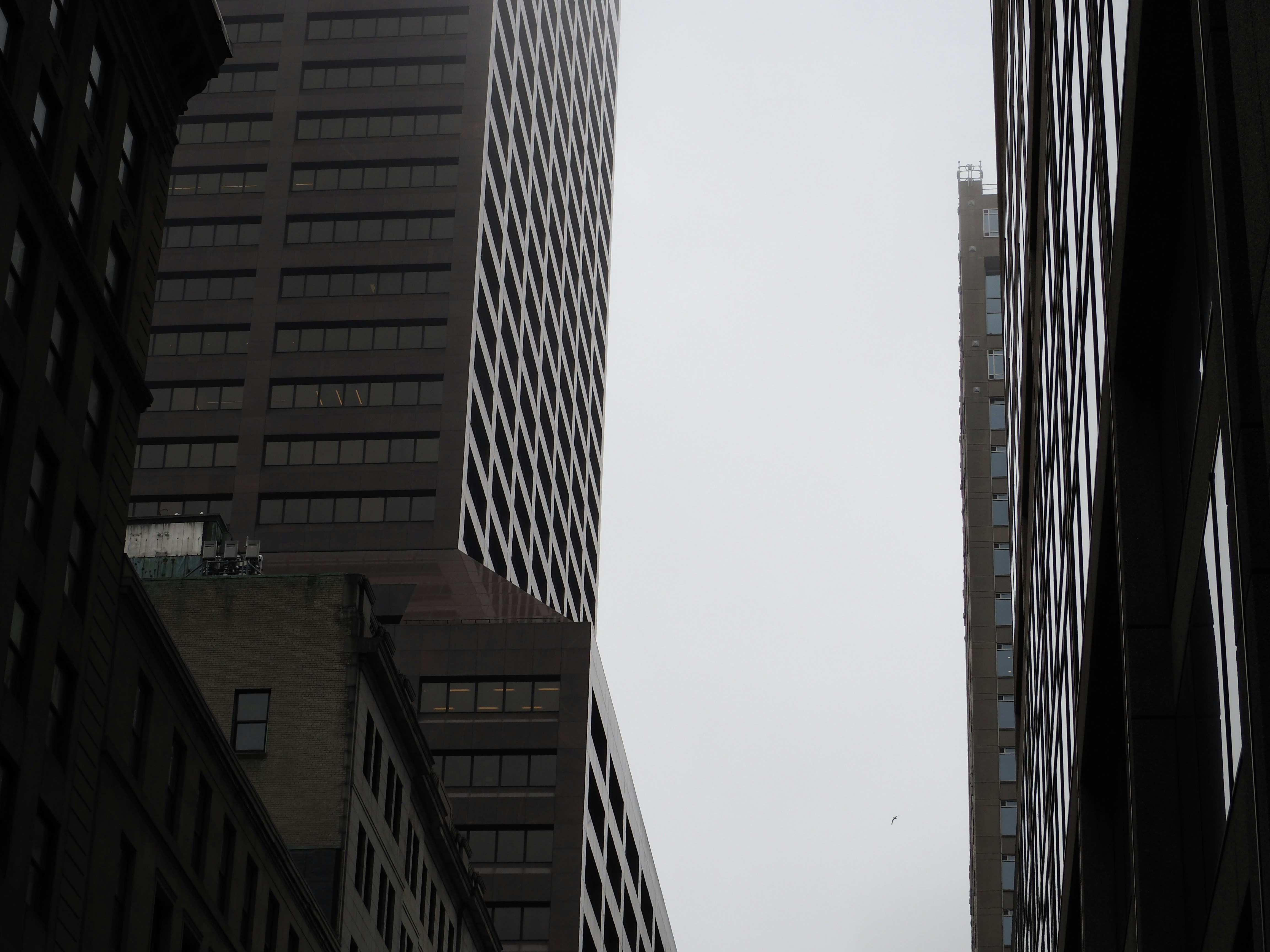 Billions Poured into AI Startups Amid Experts' Warnings