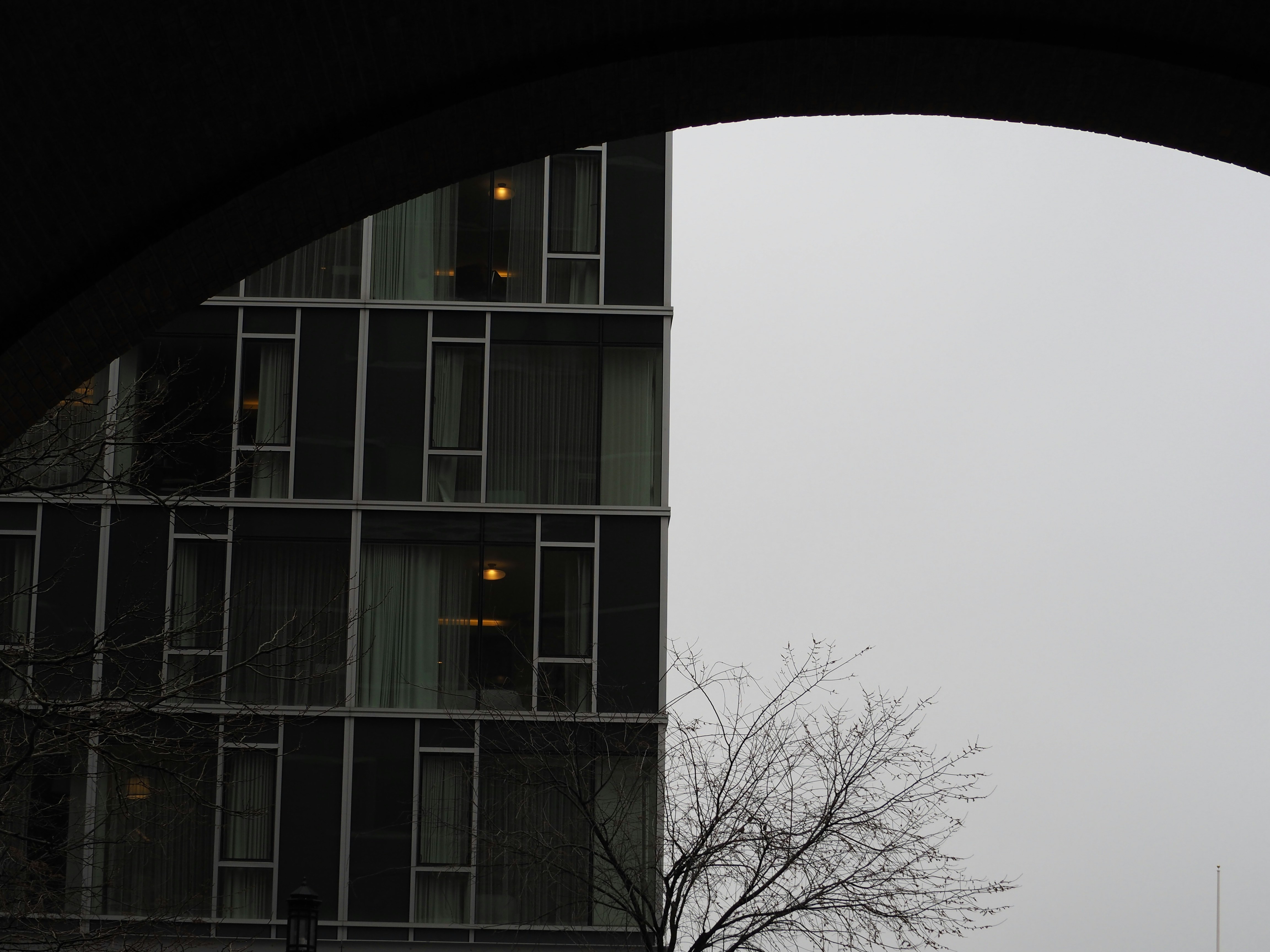 a building with windows and a tree in the front