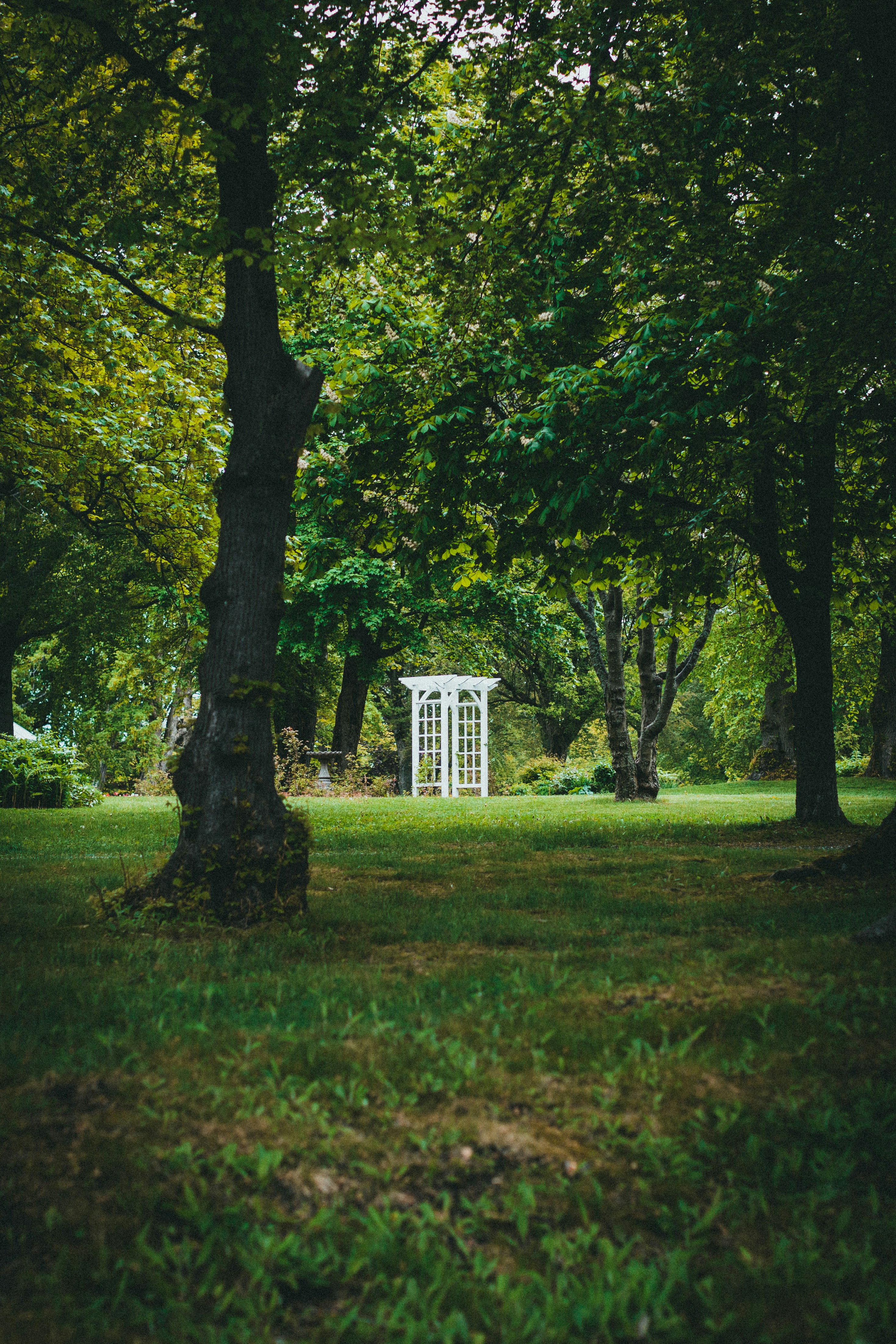 Photo by theshuttervision