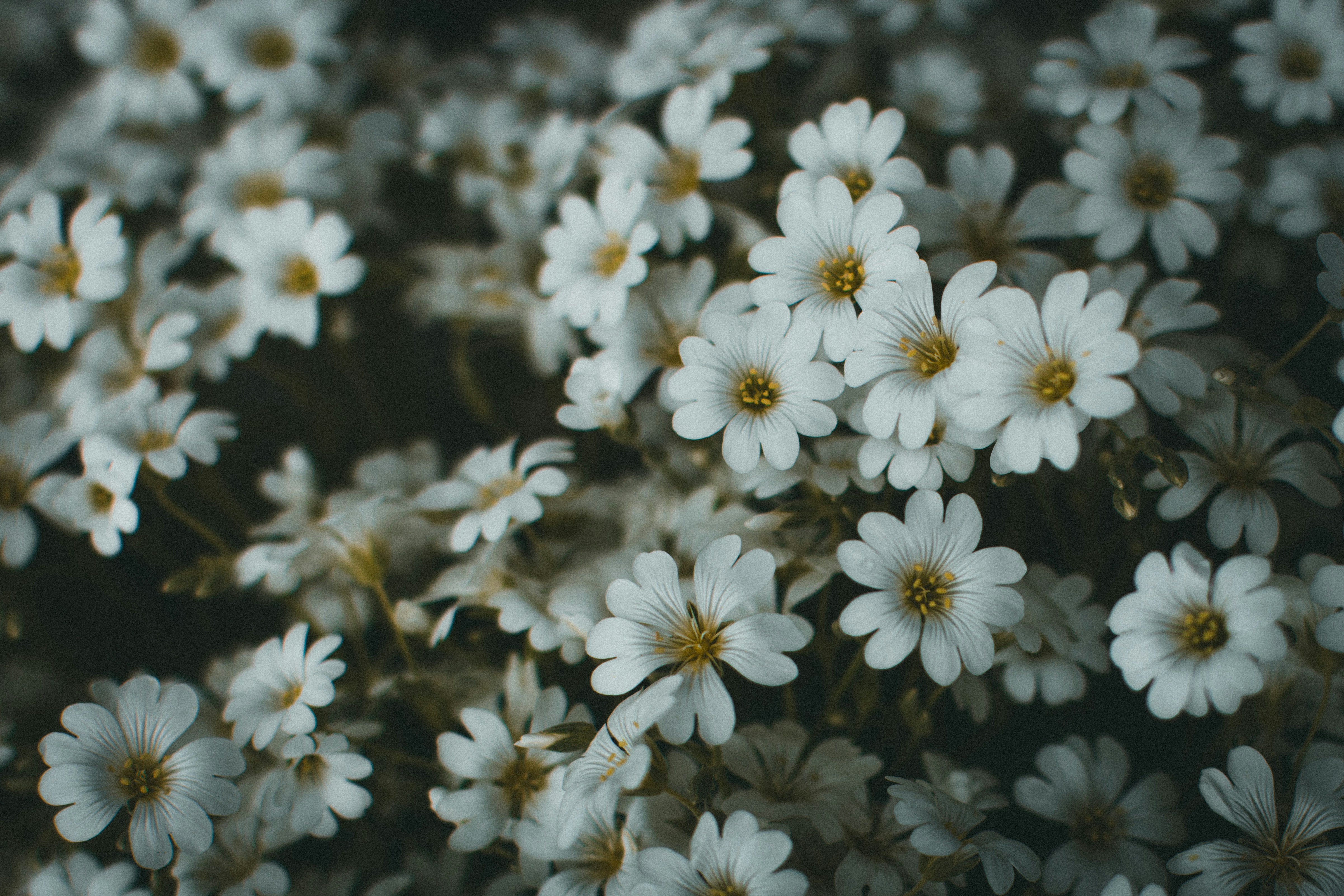 Photo by theshuttervision