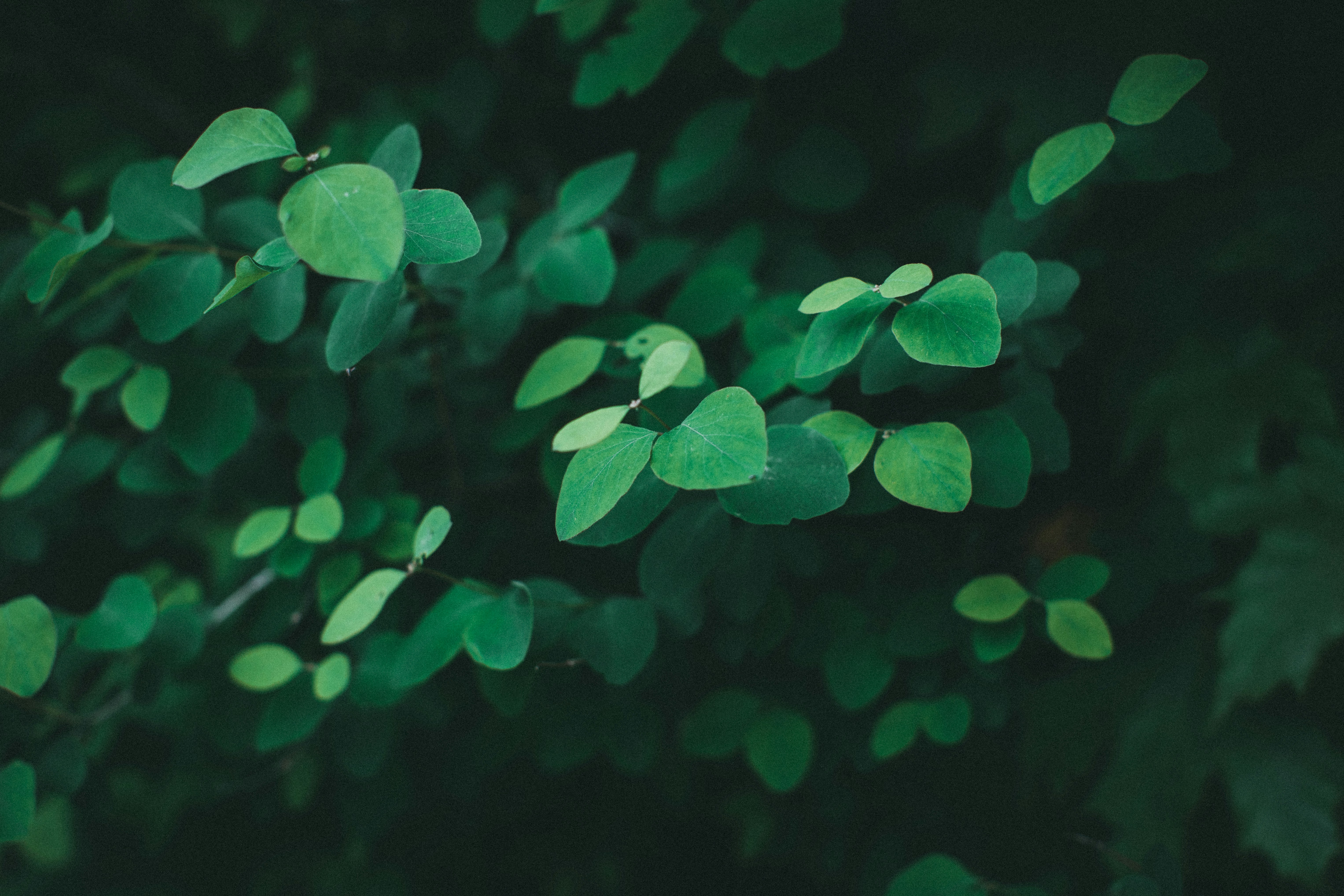 Photo by theshuttervision