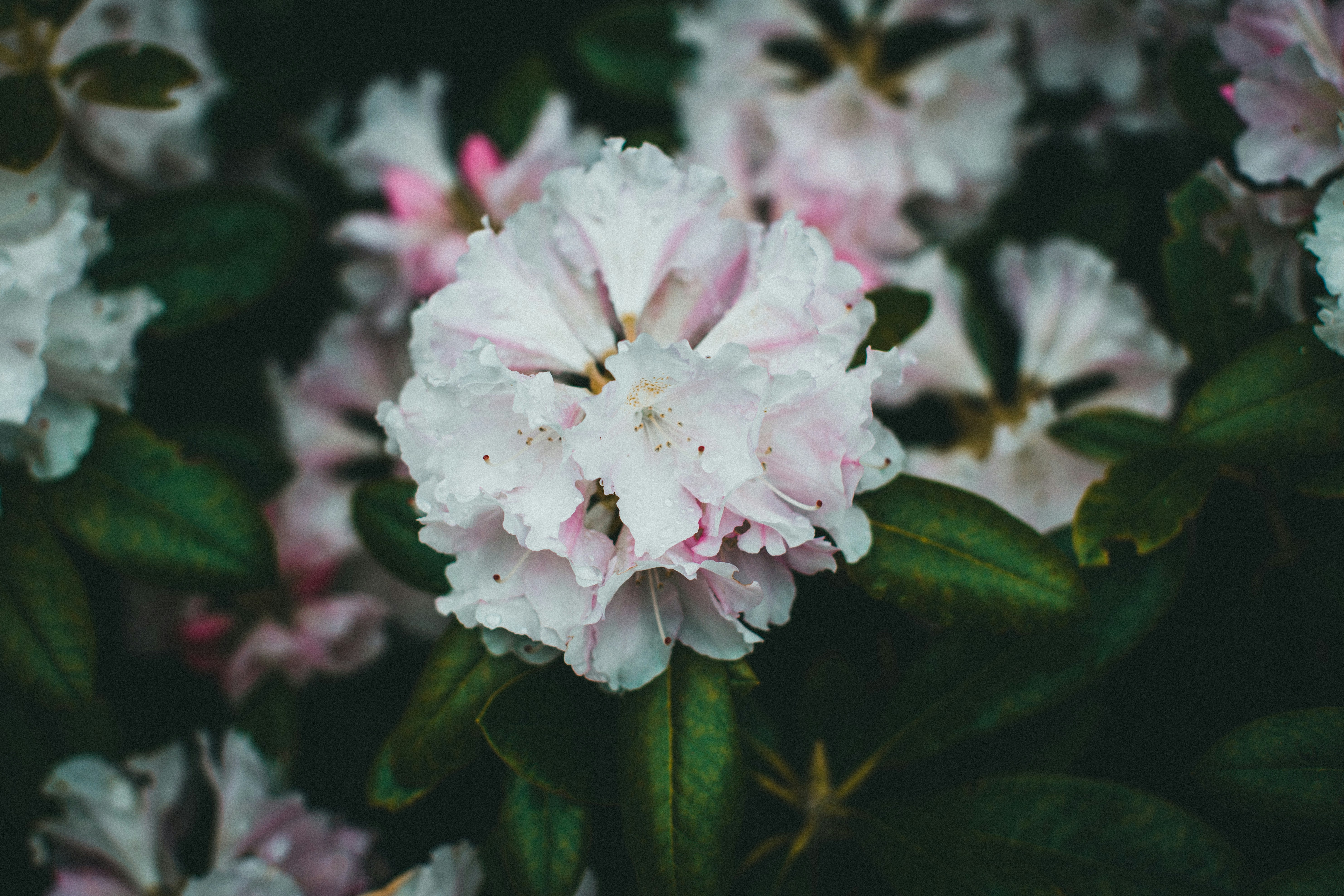 Photo by theshuttervision