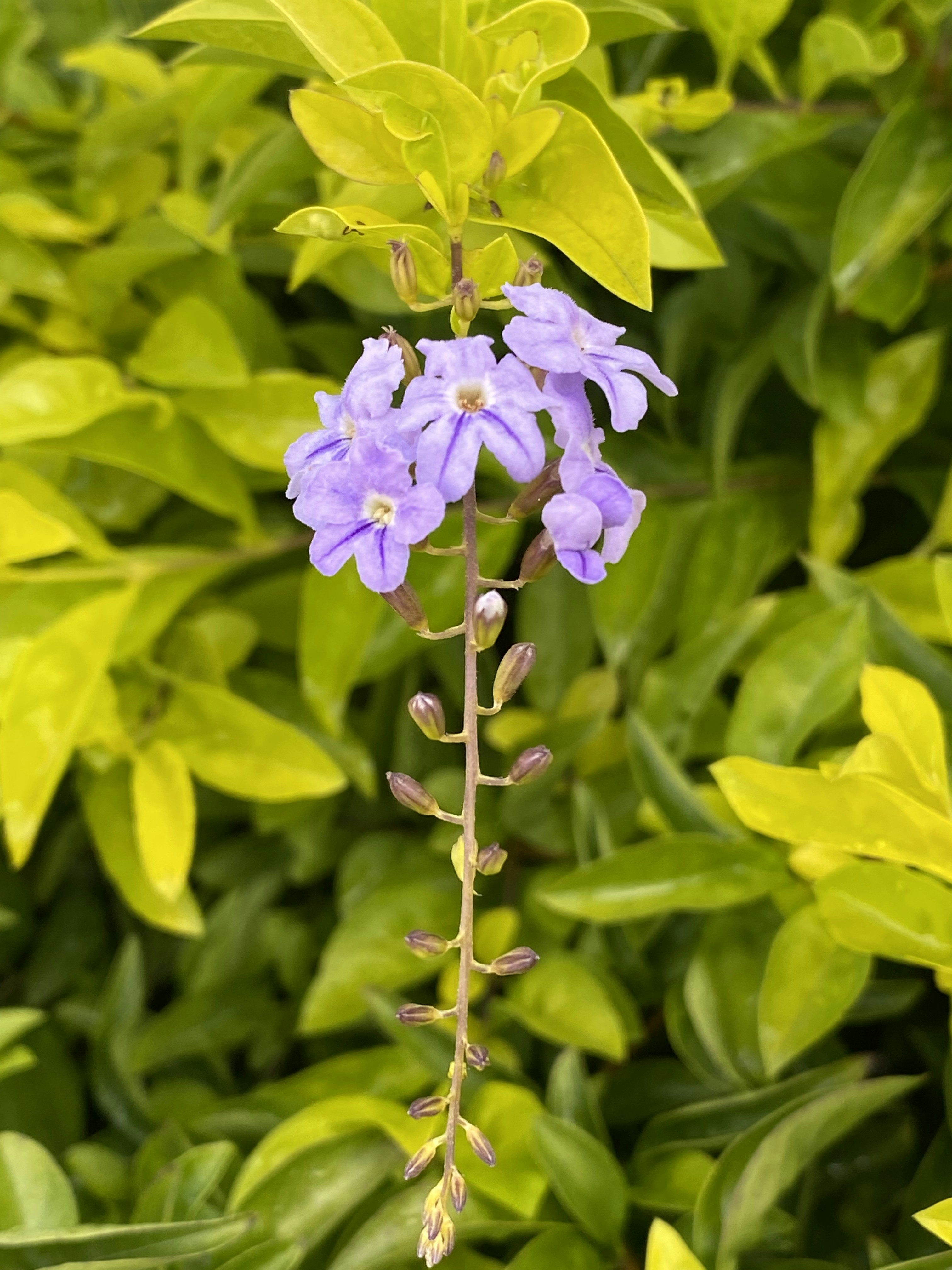 Photo by mauricioromero06