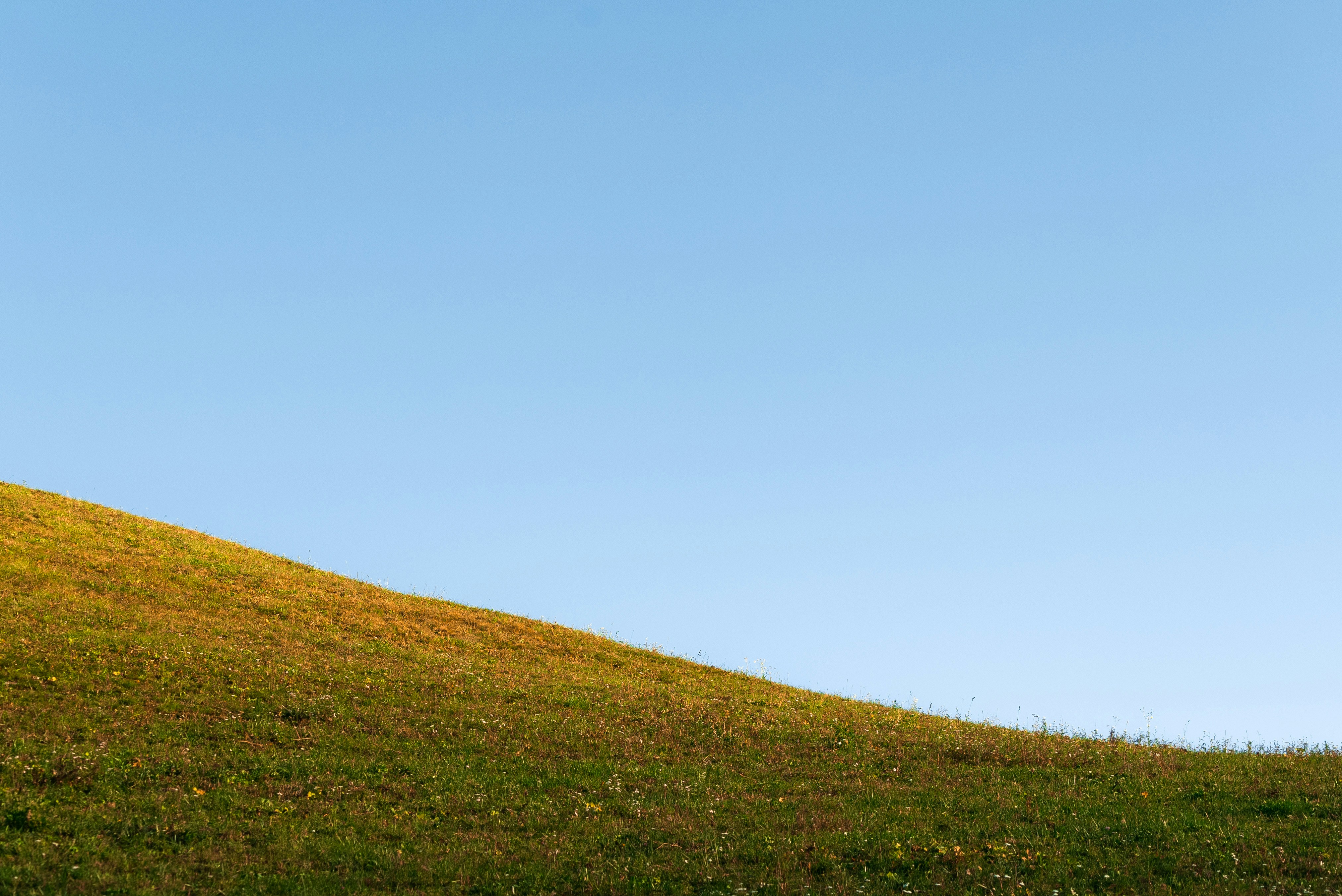 Photo by pavan_nicola