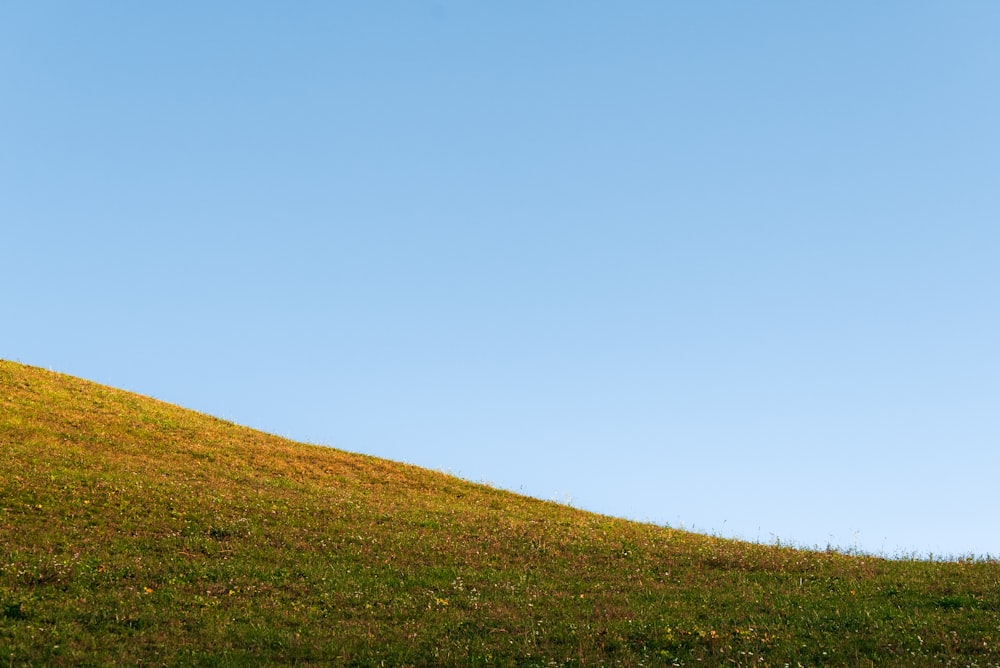 a grassy hill with blue sky