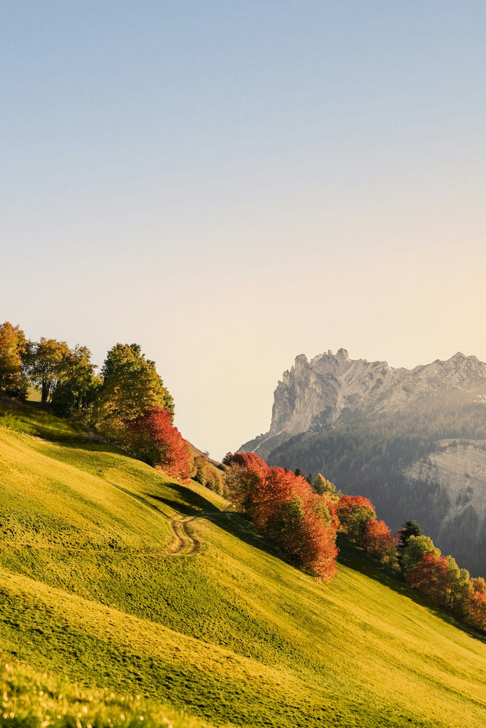 a grassy hill with trees and mountains in the background