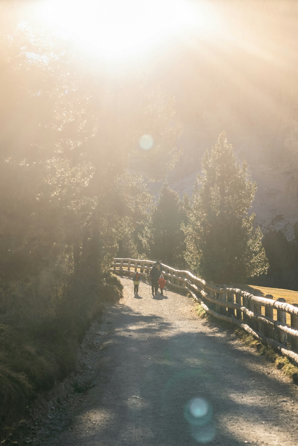 a group of people walking on a bridge over a river