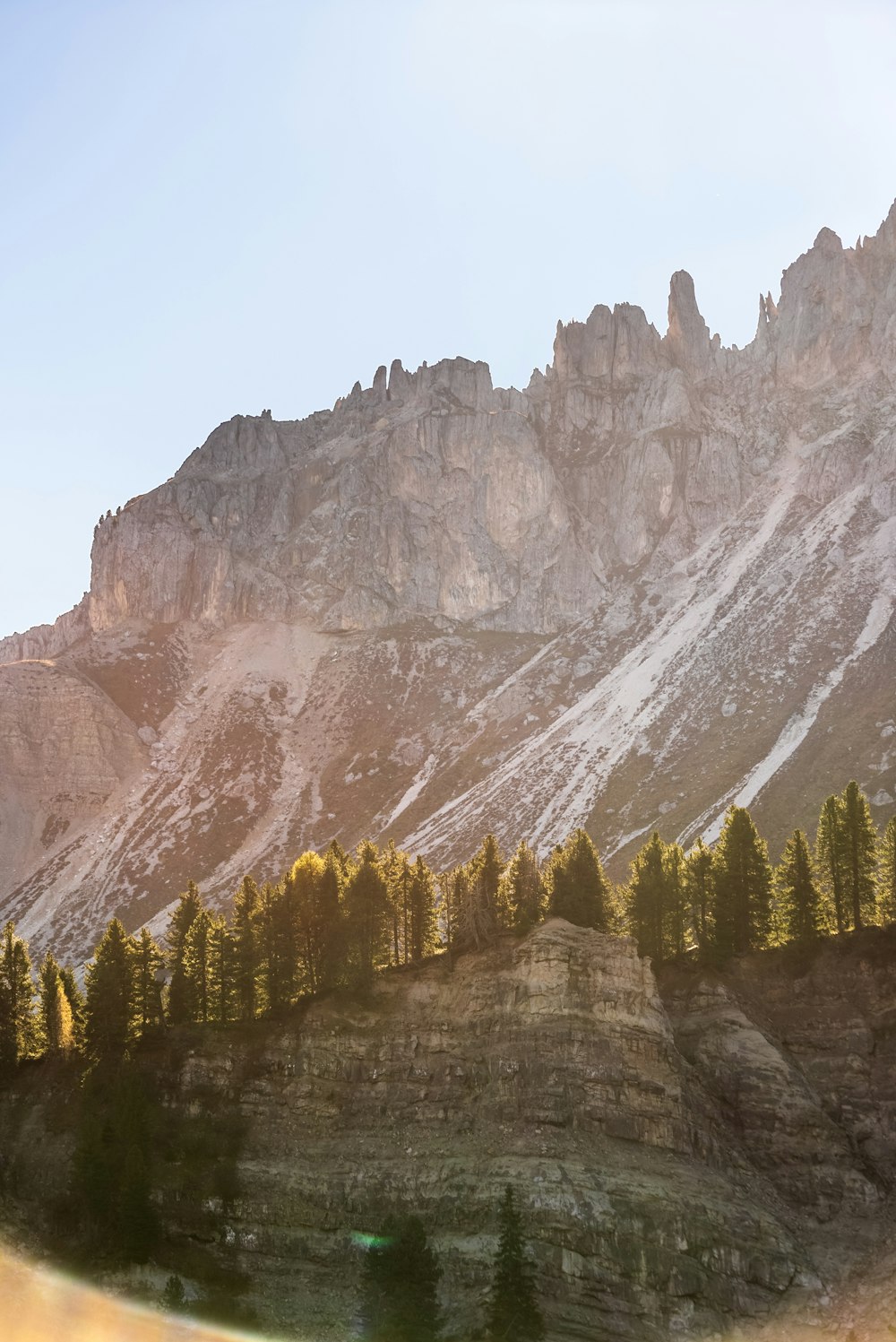 a snowy mountain with trees