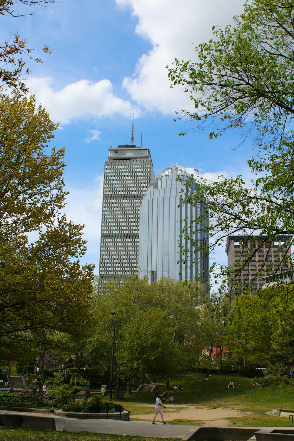a park with trees and tall buildings in the background