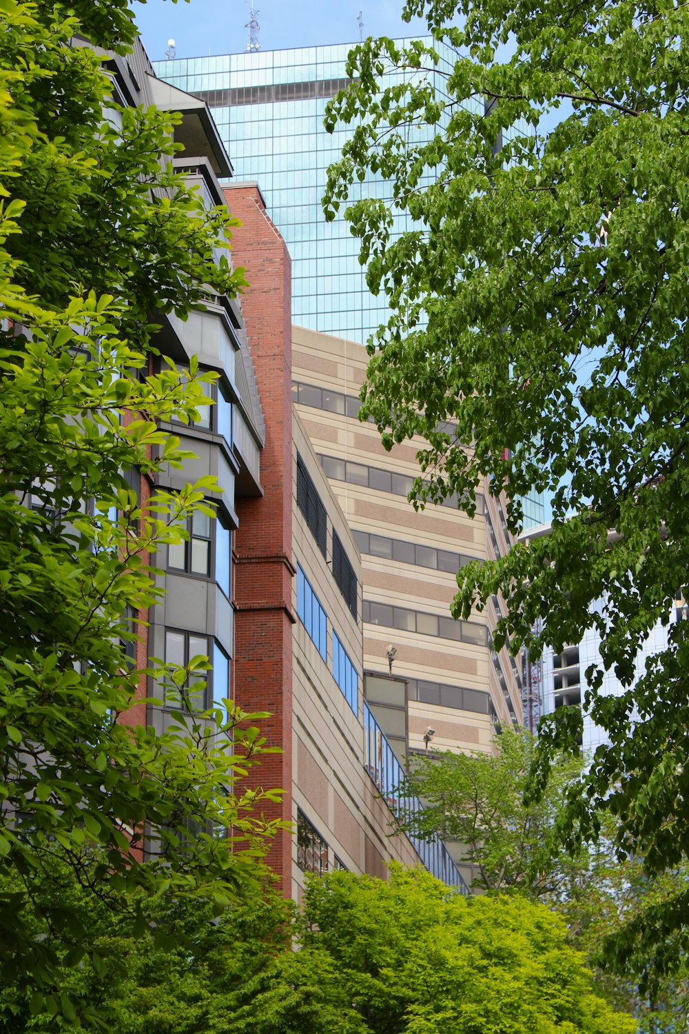 a tall building with trees in front of it