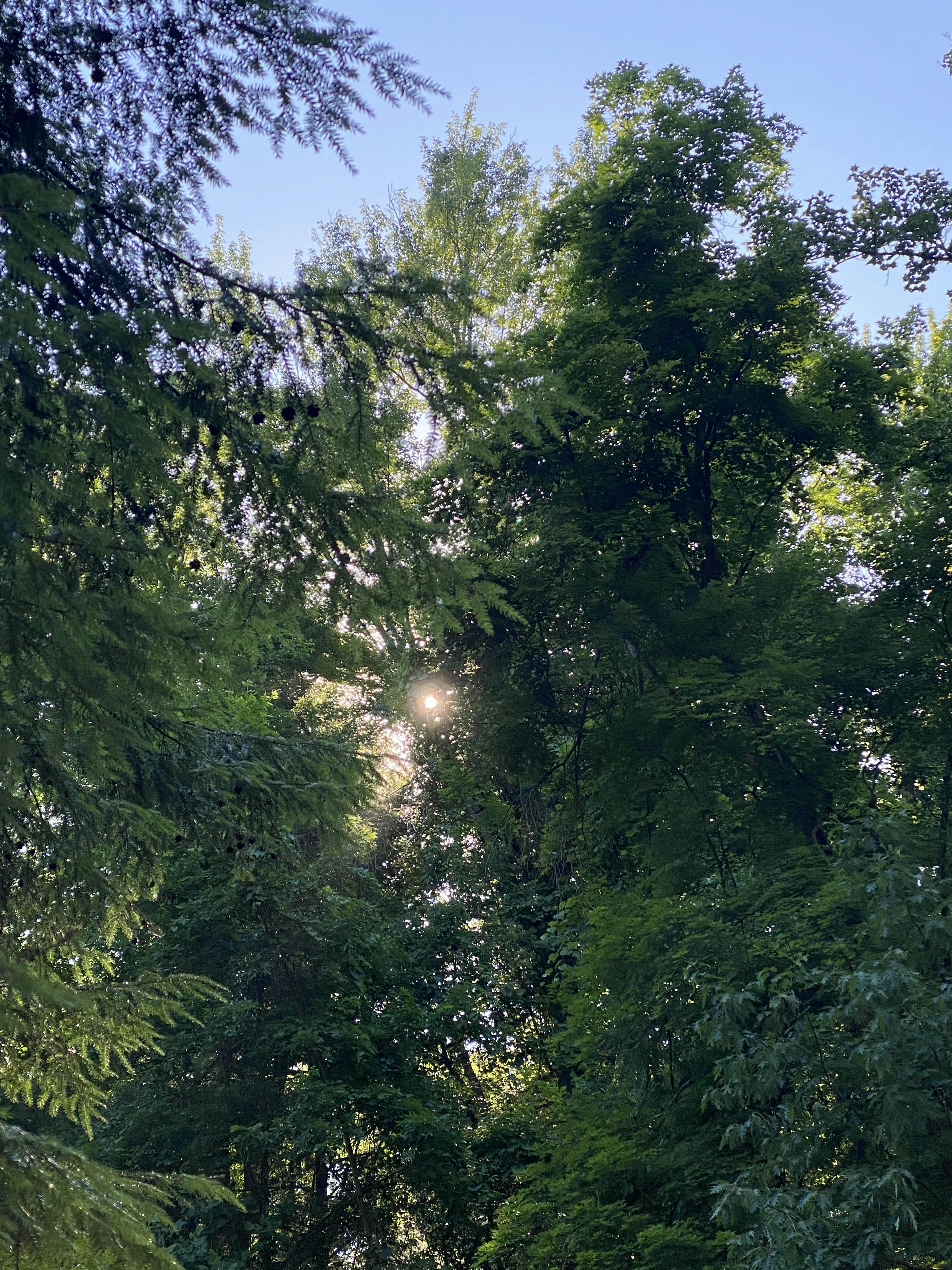 Photo by starofthesea7