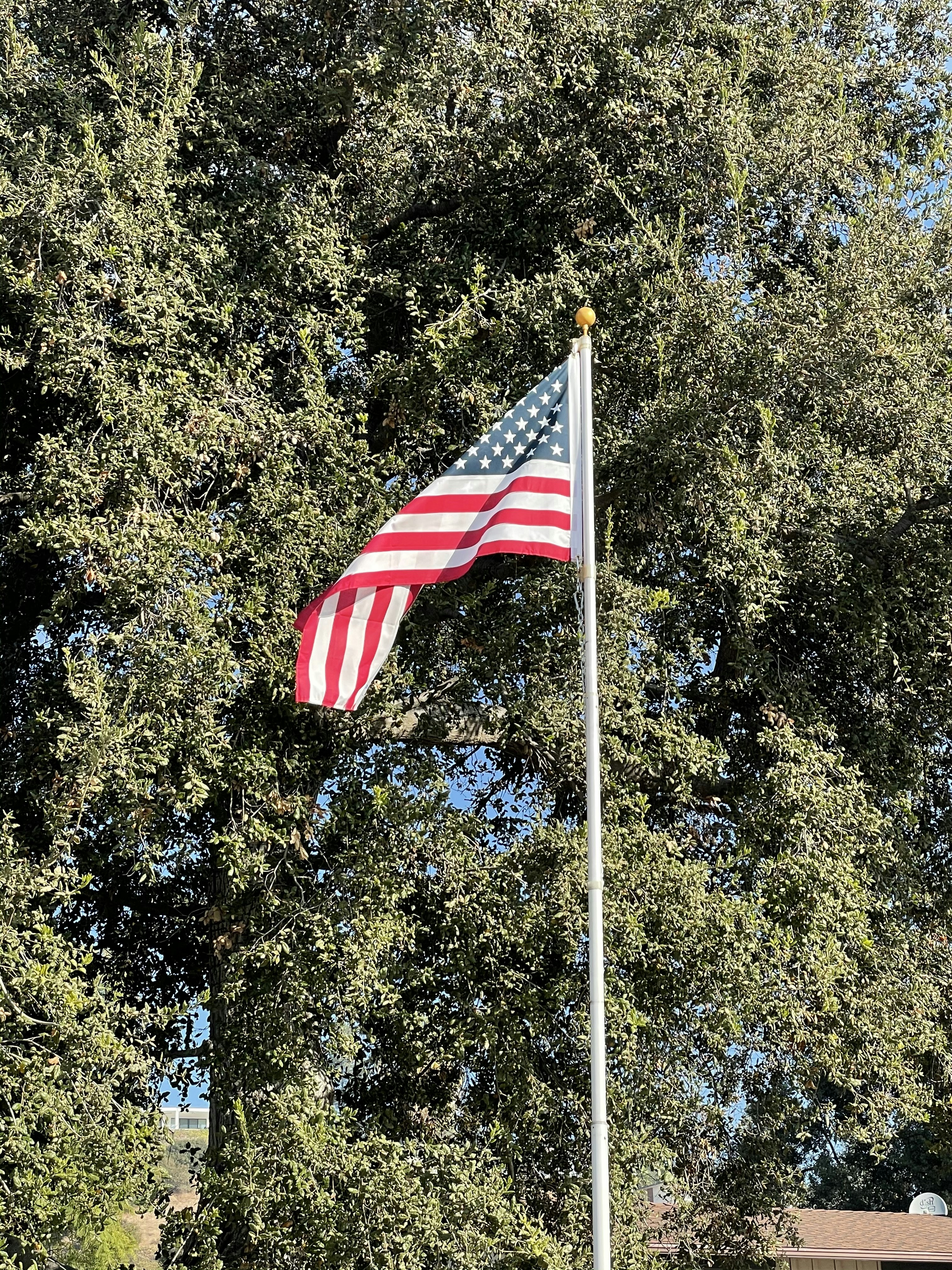 a flag on a flagpole